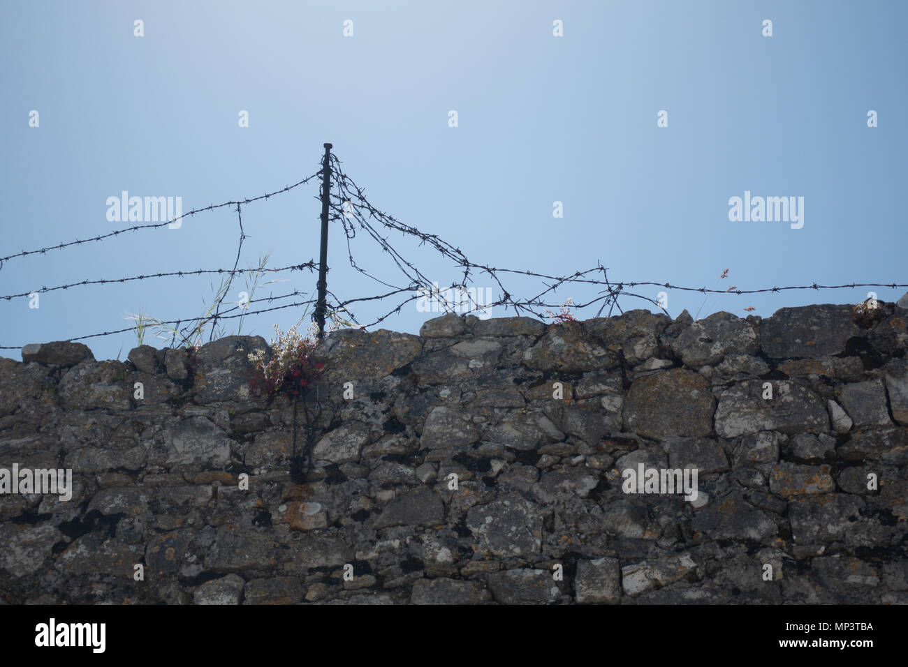 Muro di pietra con filo spinato contro il cielo blu, filo strappato e danneggiato Foto Stock