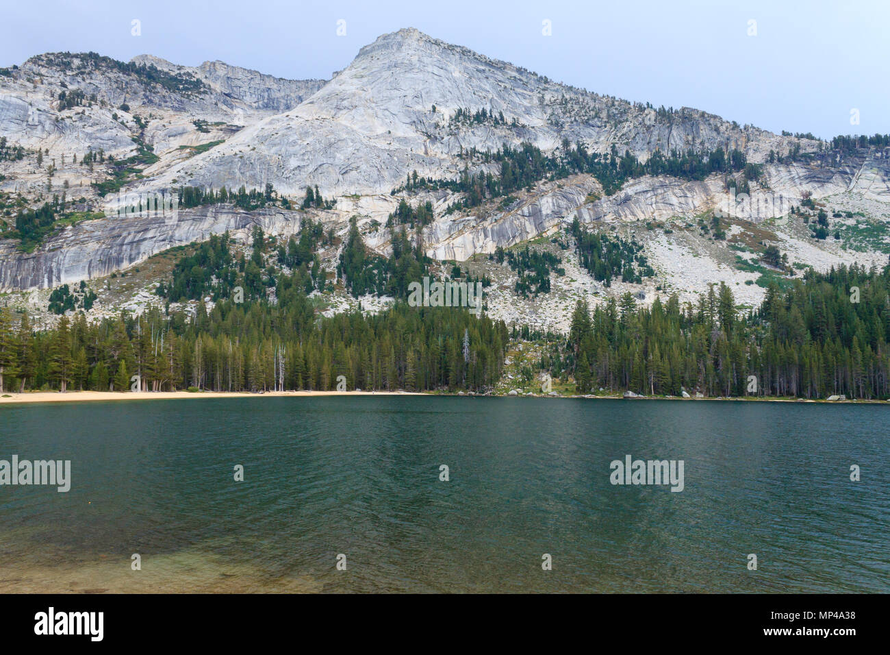 Panorama dal Parco Nazionale di Yosemite lungo la Tioga pass road, CALIFORNIA, STATI UNITI D'AMERICA Foto Stock