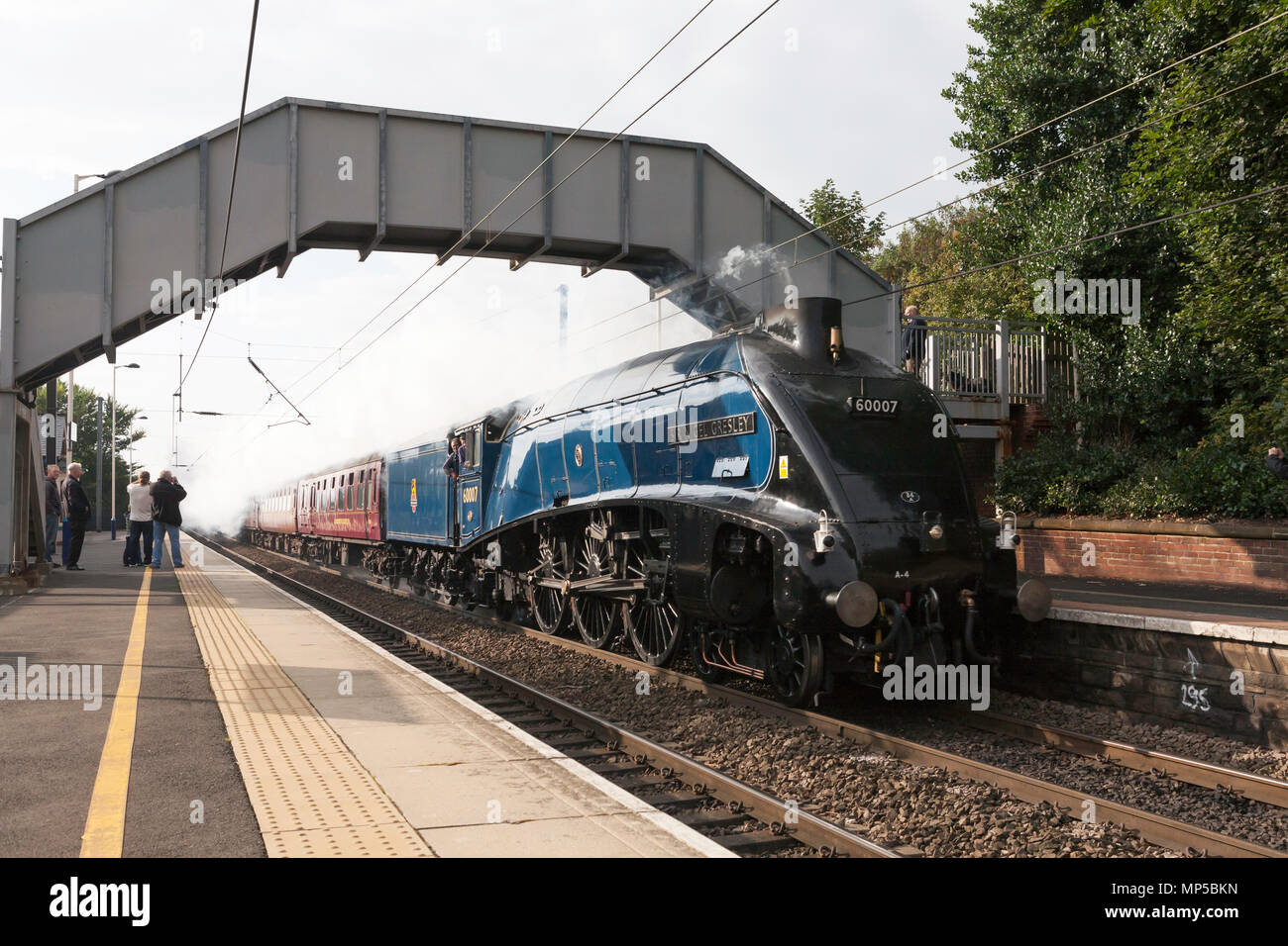 Ex LNER A4 locomotiva a vapore 60007 Sir Nigel Gresley passa Chester le street station sulla east coast main line, North East England, Regno Unito Foto Stock