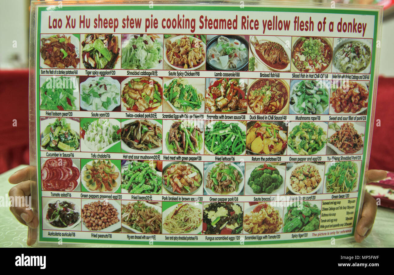 Asino menu a base di carne in Dunhuang, Gansu, Cina Foto Stock