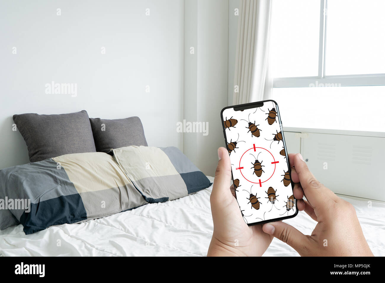 Le donne sono il controllo per le cose più strane e il rilevamento degli  insetti nel letto in camera da letto Foto stock - Alamy