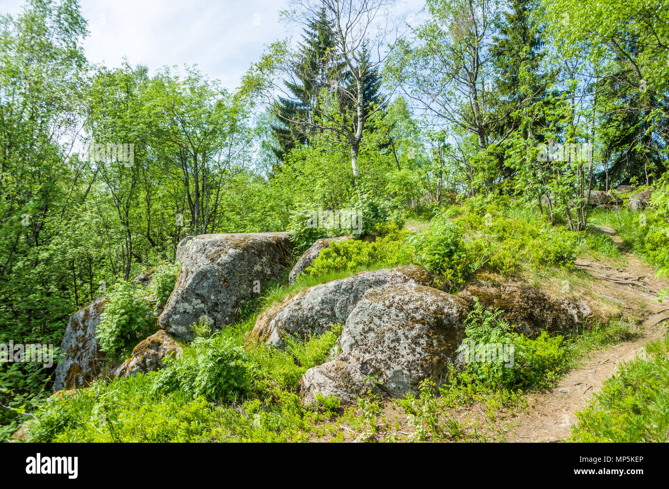 Formazione di rocce avvistato in Oslo city foresta. Foto Stock