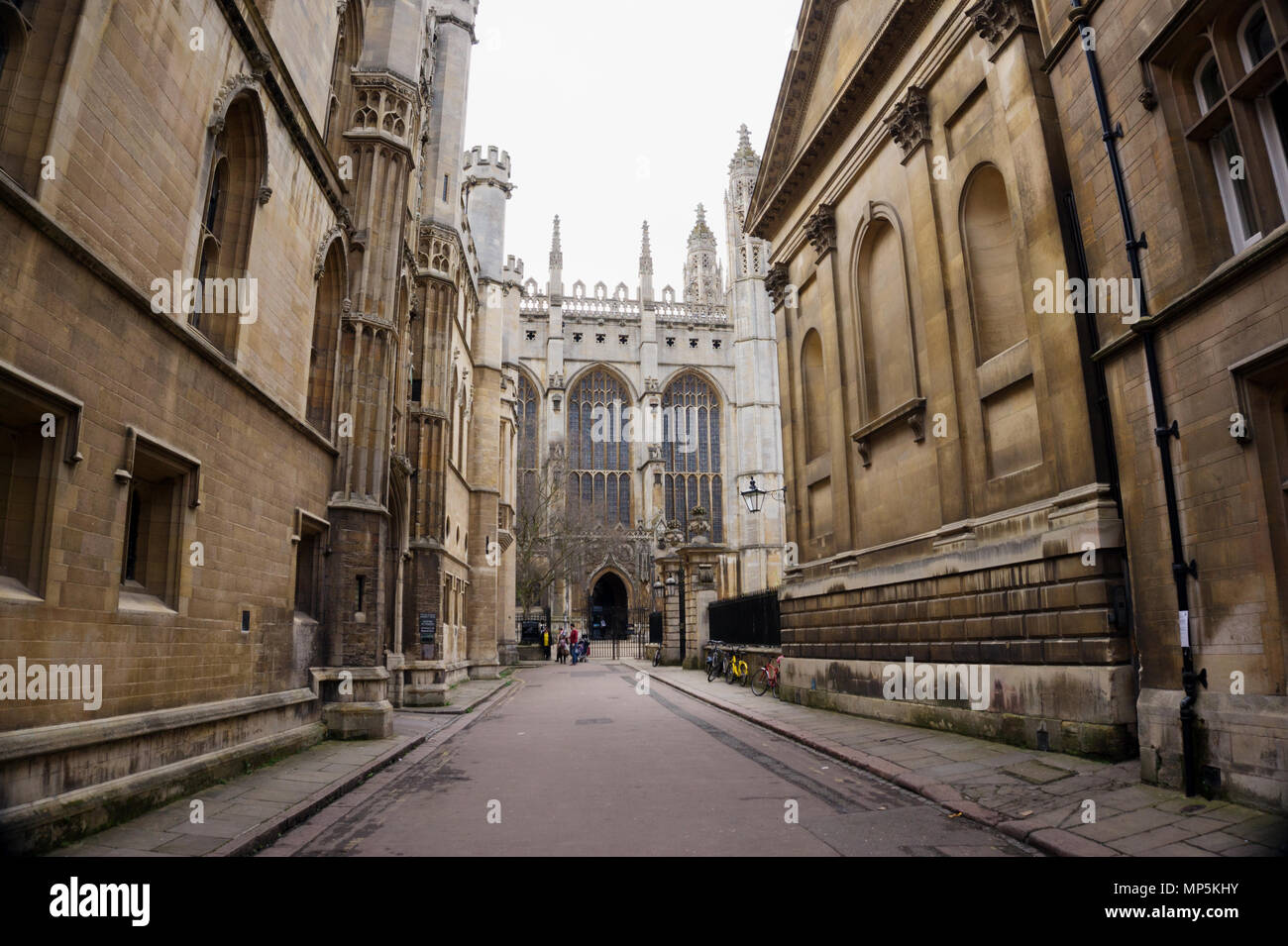 Re della cappella Collage Cambridge Inghilterra England Foto Stock