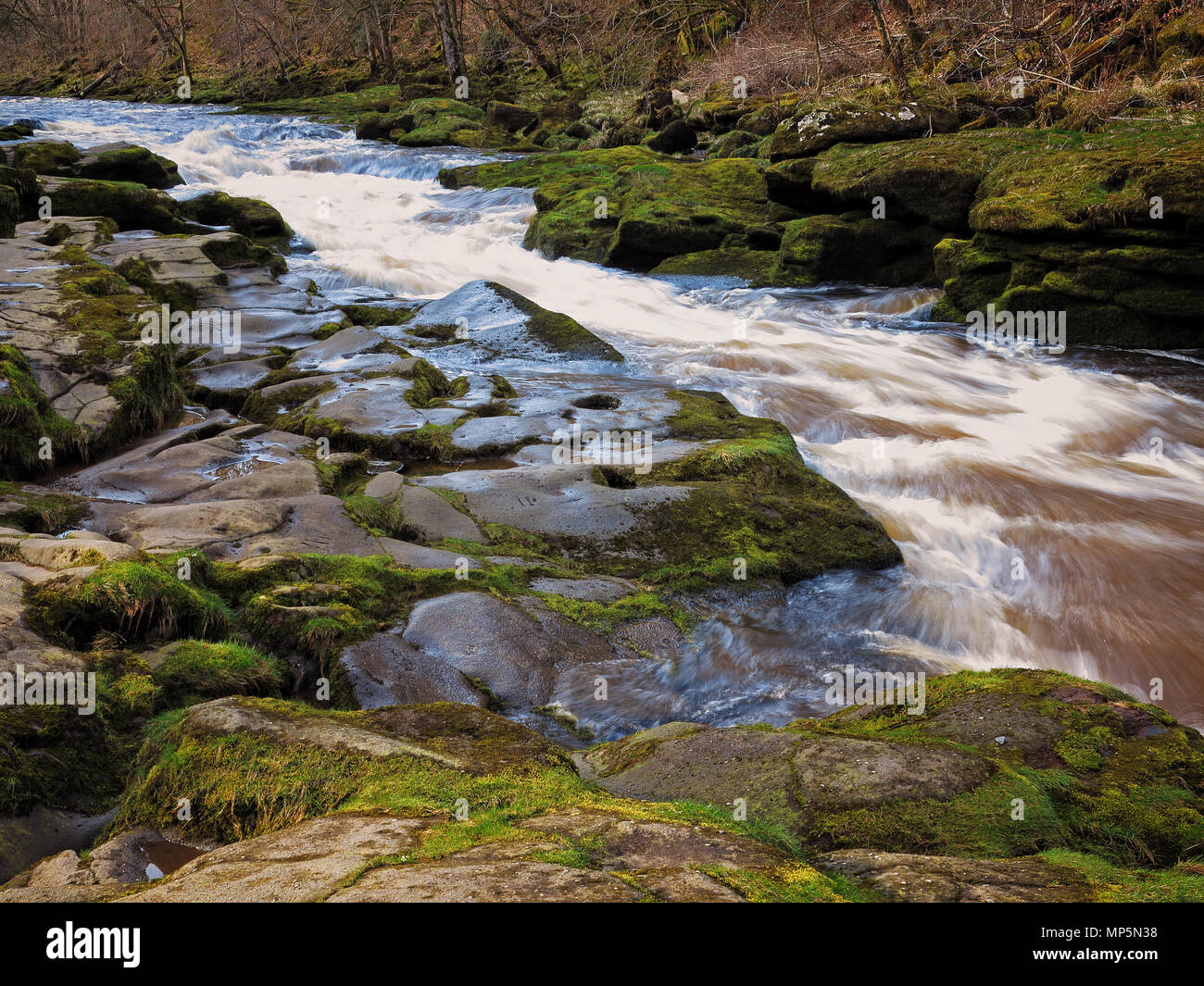 Linee del Fiume Wharfe al 'hotel Astrid, vicino a Bolton Abbey, Yorkshire Dales Foto Stock