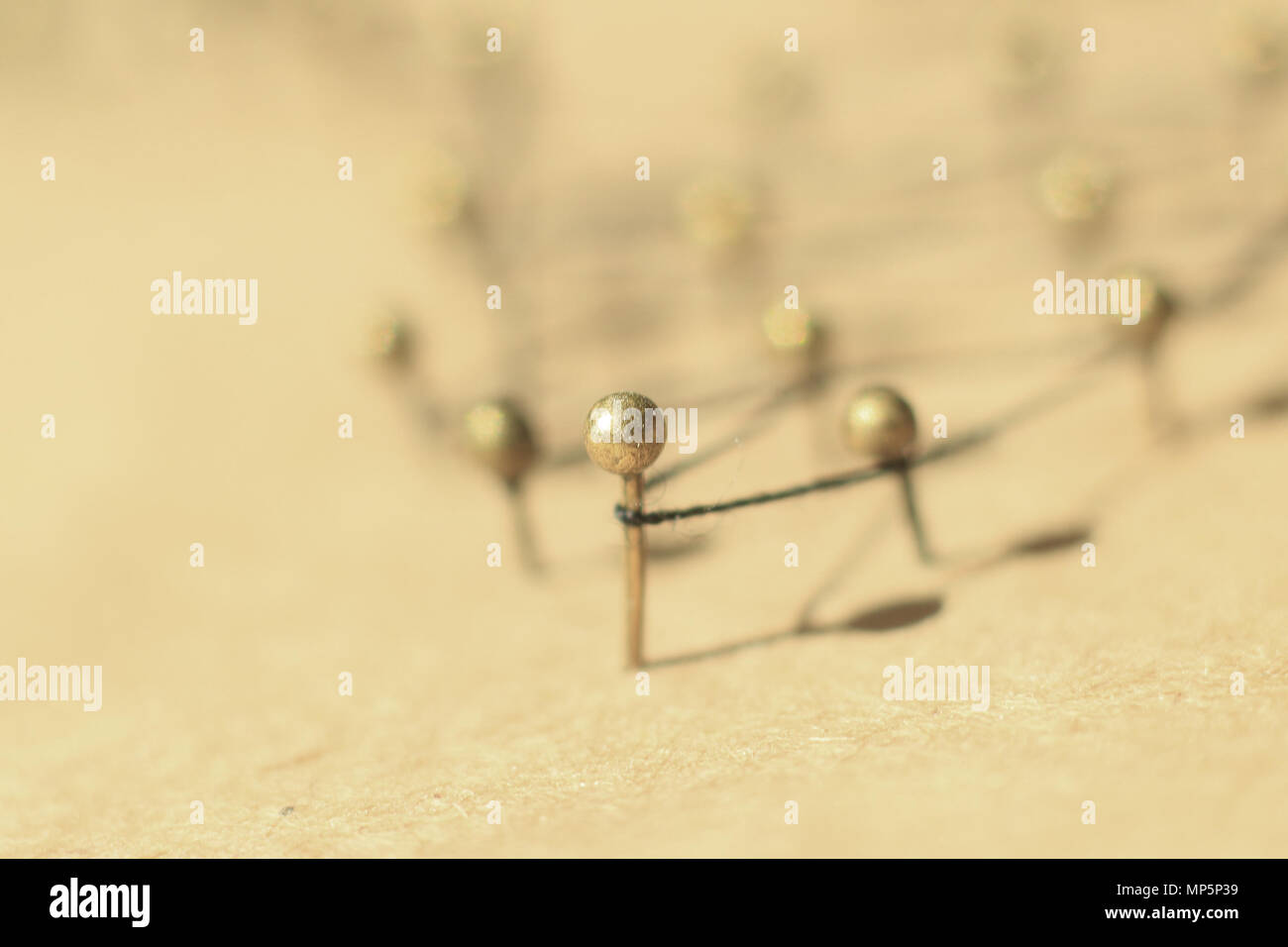 Concetto di una rete sociale con il leader Foto Stock