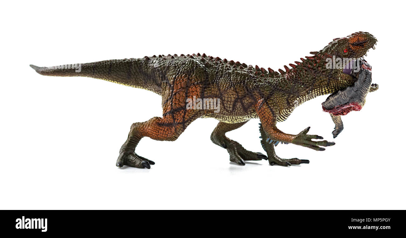 Carcharodontosaurus mordere un dinosauro corpo con il sangue su sfondo bianco Foto Stock