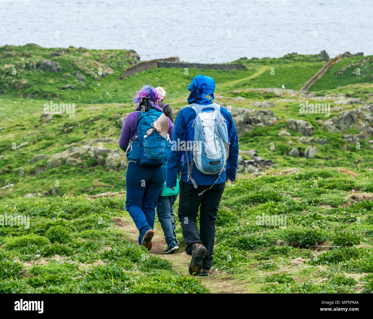 Tre generazioni della famiglia camminando sul percorso di erba, Isola di maggio, Scozzese Patrimonio Naturale riserva naturale, Scotland, Regno Unito Foto Stock