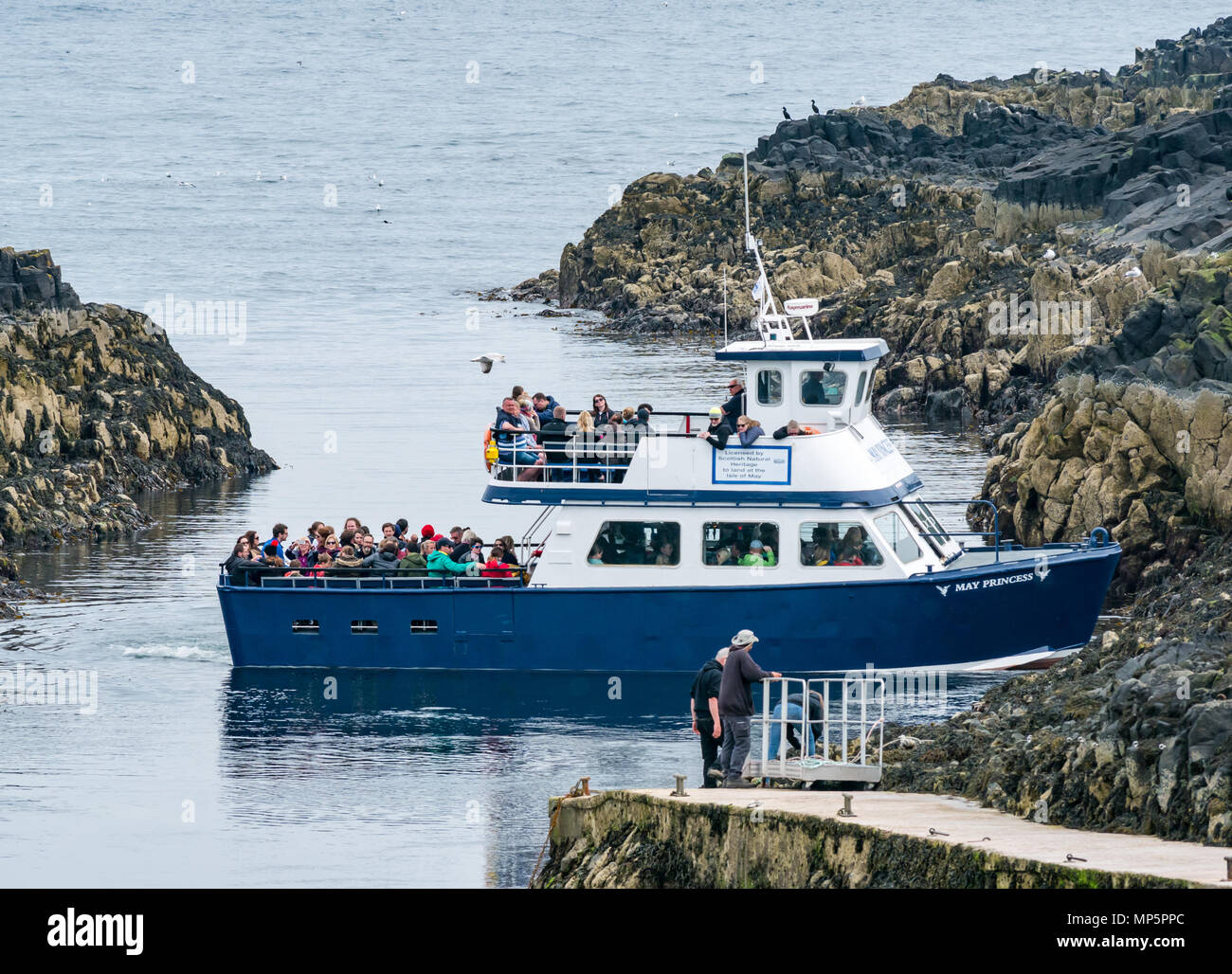 Passeggeri a maggio la principessa imbarcazione turistica, girando in partenza Isola di maggio, scozzese patrimonio naturale riserva naturale, Scotland, Regno Unito Foto Stock