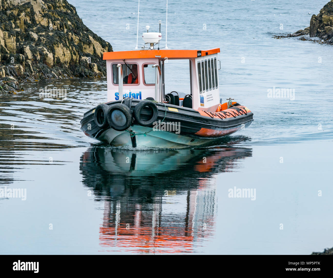 Seafari gonfiabile rigida di imbarcazione turistica isola di avvicinamento di maggio in acque calme, Scozzese Patrimonio Naturale riserva naturale, Scotland, Regno Unito Foto Stock