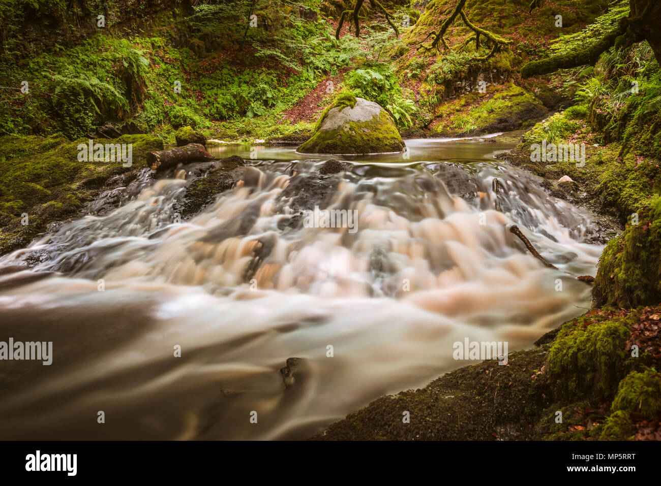Dalcairnie falls, una piccola cascata e il torrente vicino Dalmellington, Ayrshire, in Scozia, Regno Unito Foto Stock