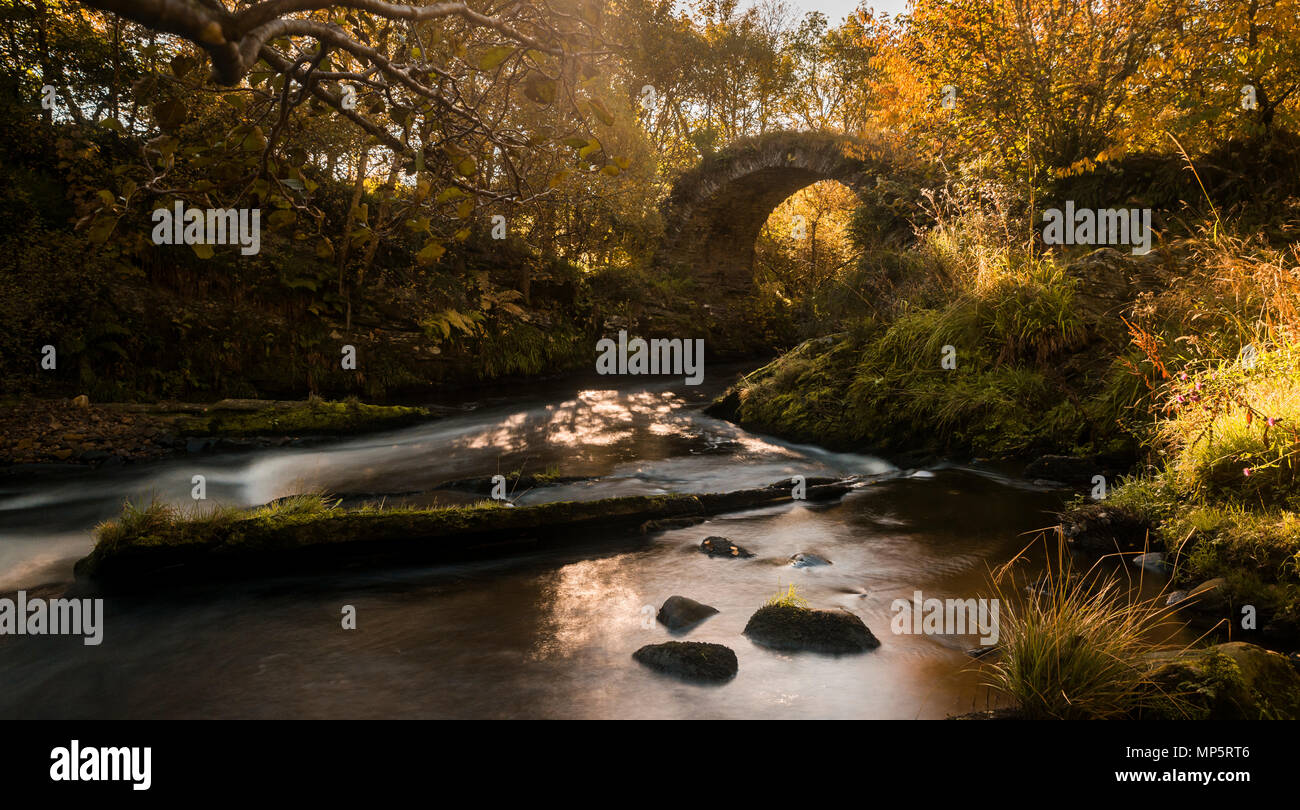 Packhorse ponte sopra il fiume Livet, Glenlivet, Highlands scozzesi, Scotland, Regno Unito Foto Stock