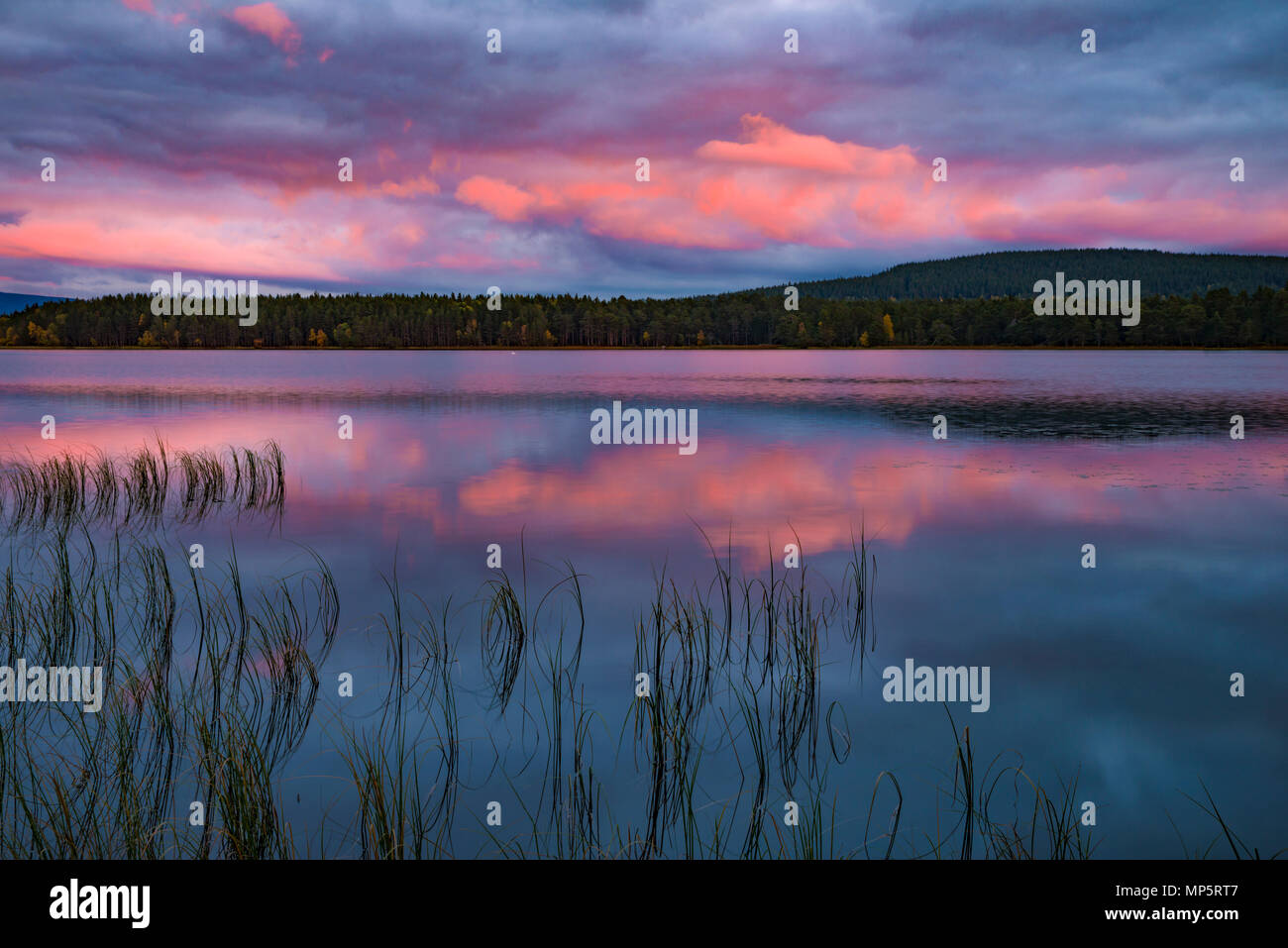 Tramonto al Loch Garten, Cairngorms National Park, Scozia, Regno Unito Foto Stock