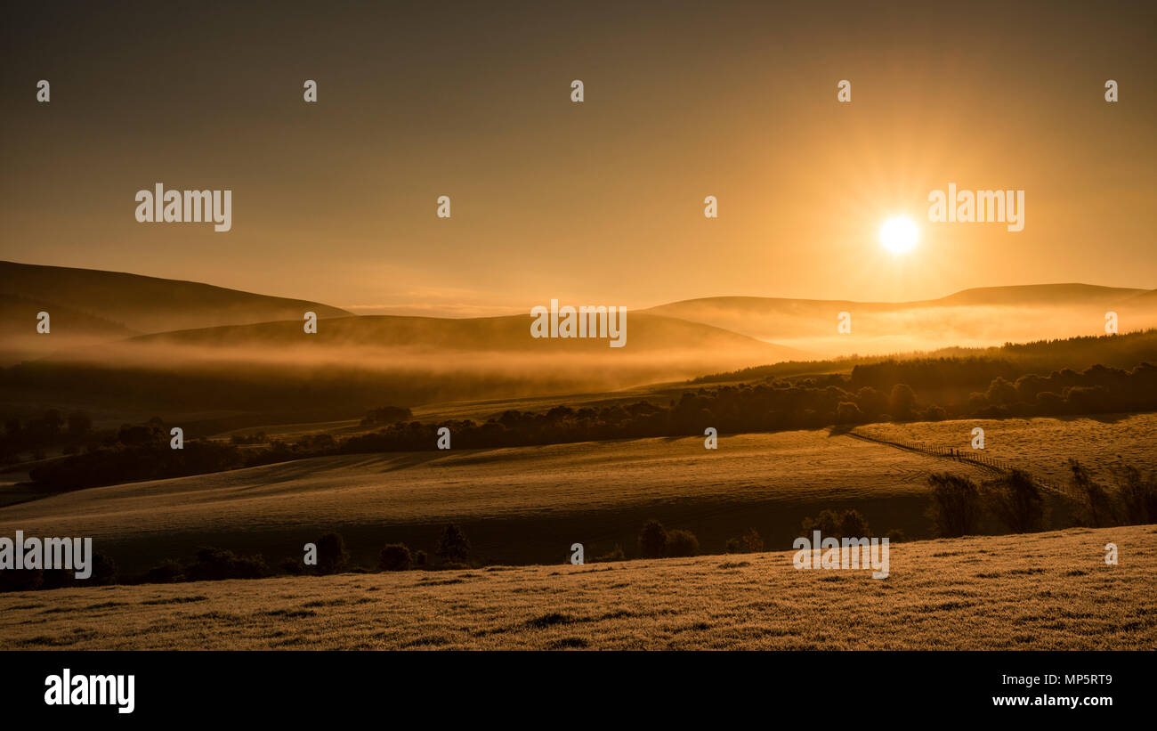 Sunrise delle colline a Glenlivet nelle Highlands scozzesi, Scotland, Regno Unito Foto Stock