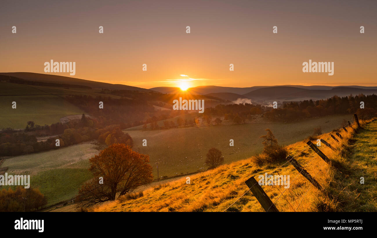 Sunrise tra dolci colline e campi coltivati di un paesaggio scozzese vicino Glenlivet nel Parco Nazionale di Cairngorms, Scotland, Regno Unito Foto Stock