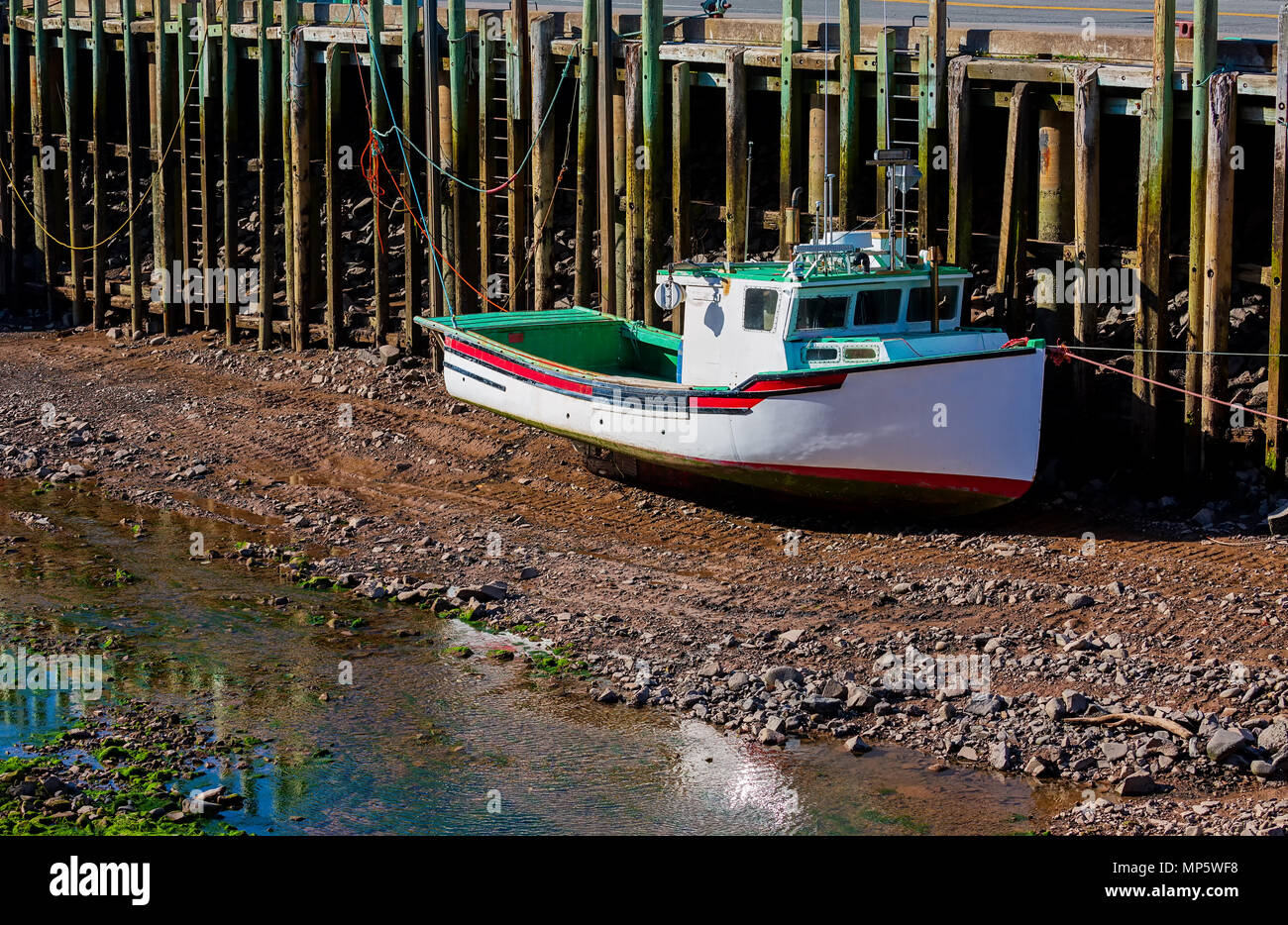 Barche da pesca in appoggio sul fondo dell'oceano con la bassa marea nella sala del porto, Nova Scotia, Canada. Foto Stock