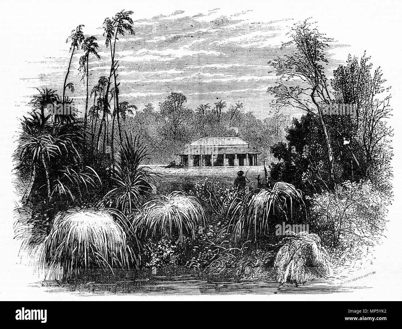 Incisione di una azienda australiana con un tipico Queenslander homestead nei tropichi. Da un'incisione originale in La ragazza del proprio magazzino carta 1883. Foto Stock