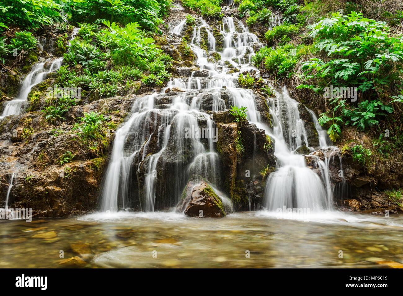 La natura è la vita Foto Stock