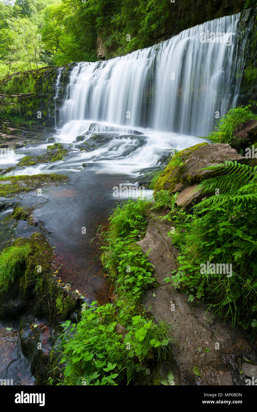 Sgwd ISAF Clun-gwyn (caduta inferiore del White Meadow) cascata sul fiume Afon Mellte nel Bannau Brycheiniog (Brecon Beacons) National Park vicino a Ystradfellte, Powys, Galles. Foto Stock