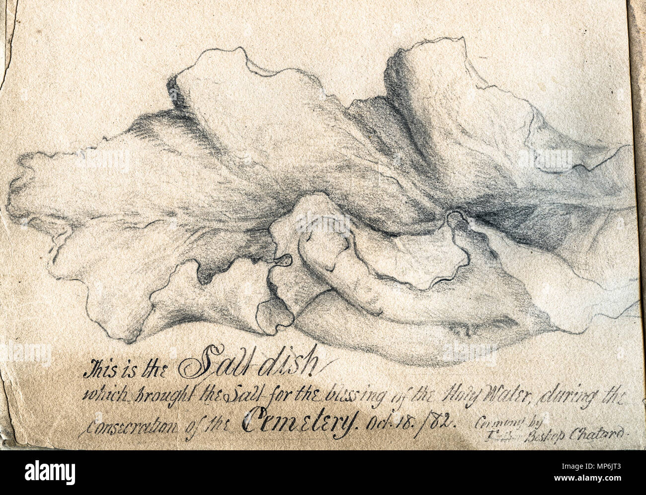 Libro rilegato di schizzi di Saint Mary's motivi, principalmente da suor Maurice Schnell, con alcuni da suor San Francesco Saverio Lefer, Padre Corbe e studenti. . Inglese: 'Salt piatto' (probabilmente una foglia di lattuga o di altre grandi verde) utilizzata per benedire il cimitero per i motivi delle Suore della Provvidenza di Santa Maria del Bosco, Indiana nel 1882. Questo disegno è parte di un libro rilegato raccogliendo vari schizzi di Saint Mary's motivi, casa delle Sorelle della Provvidenza di Santa Maria del Bosco, Indiana, e dell'Accademia che più tardi divenne Santa Maria del Bosco College. I disegni sono datati tra il Foto Stock