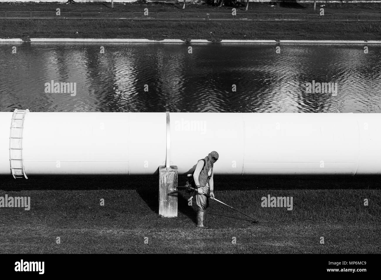 Un lavoratore qualificato che indossa indumenti protettivi, esegue la routine di manutenzione del taglio dell'erba utilizzando una macchina alimentata a benzina. Singapore. Foto Stock