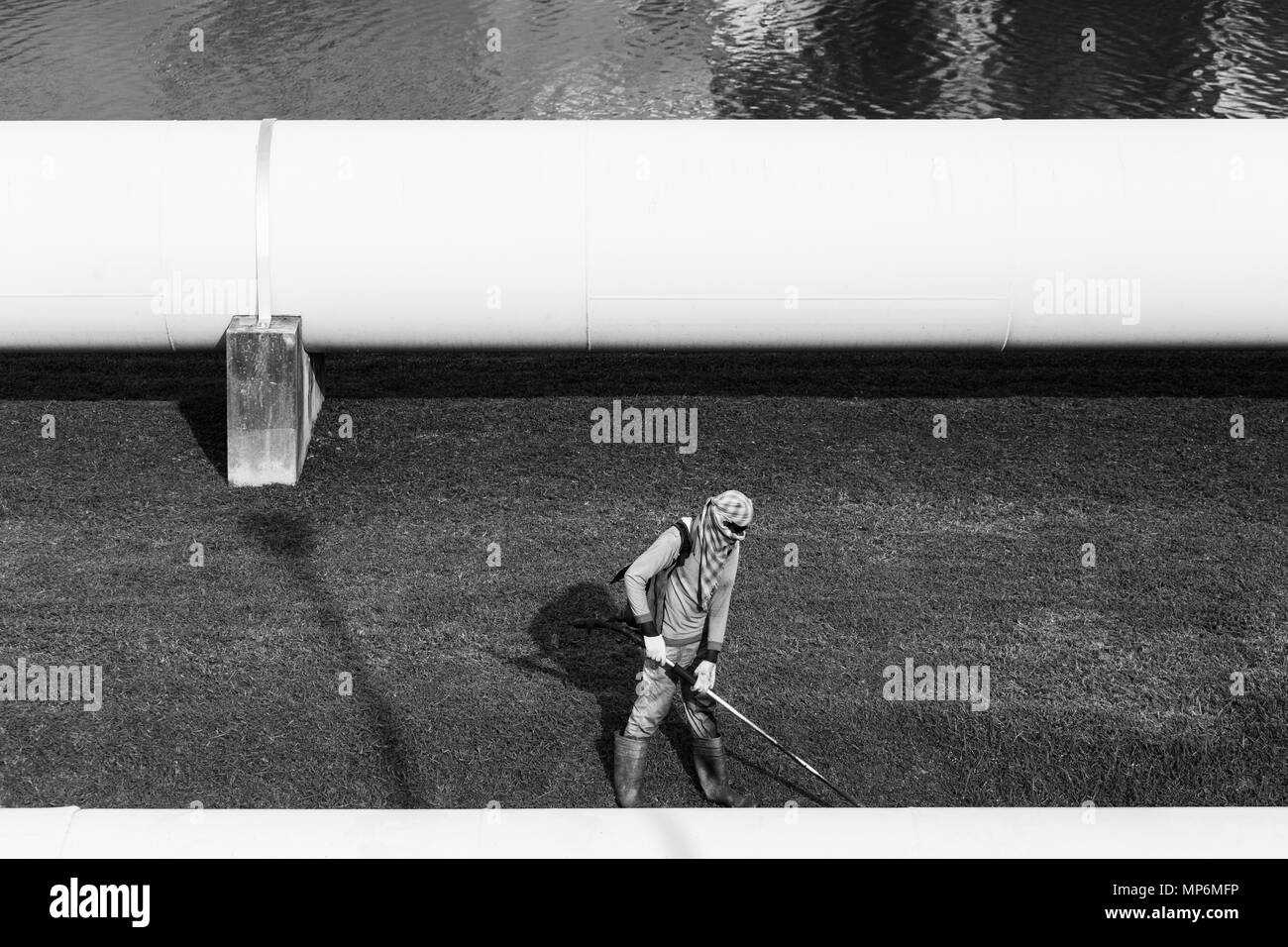 Un lavoratore qualificato che indossa indumenti protettivi, esegue la routine di manutenzione del taglio dell'erba utilizzando una macchina alimentata a benzina. Singapore. Foto Stock