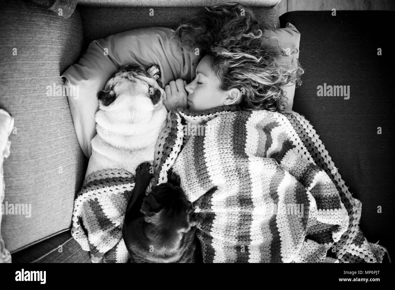 Una donna con lunghi capelli ricci dormire in una coperta di lana con due pug cani Foto Stock