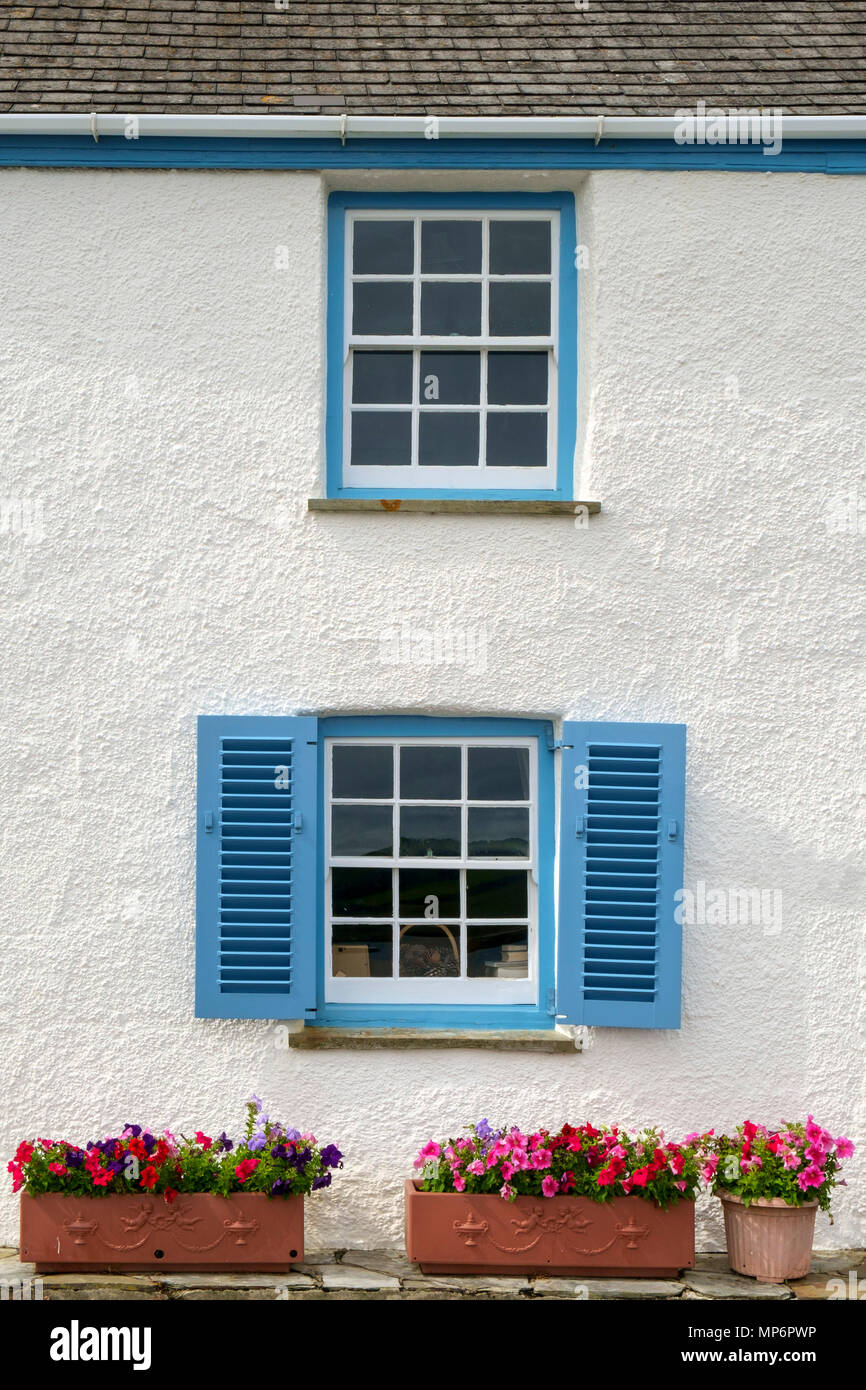 Coloratissimi fiori d'estate e con persiane blu windows su una casa al mare a St Mawes, Cornwall, Regno Unito Foto Stock