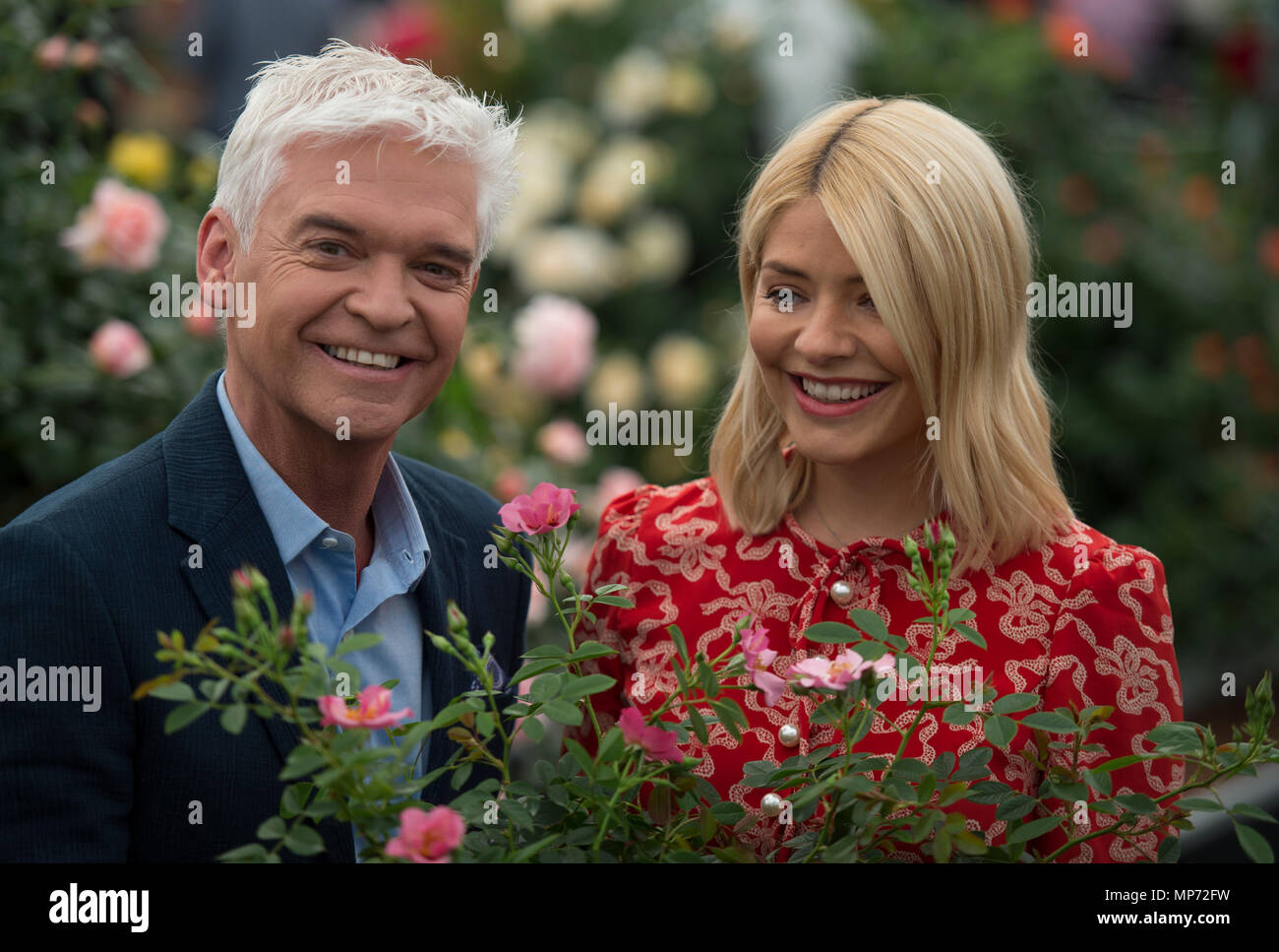 Royal Hospital Chelsea, Londra, Regno Unito. 21 Maggio, 2018. Premere il tasto giorno per la RHS Chelsea Flower Show 2018. Foto: Phillip Schofield e Holly Willoughby, ITV questa mattina i presentatori, svela una rosa speciale denominata 'la mattina' per celebrare il programma 30 anni sulla TV, lanciato da Harkness Rose. Credito: Malcolm Park/Alamy Live News. Foto Stock