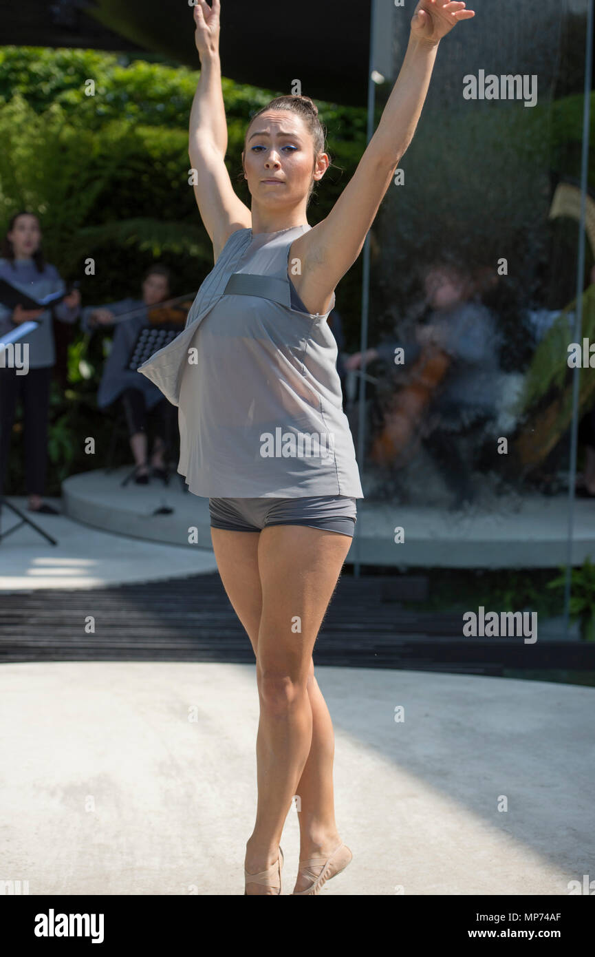 Royal Hospital Chelsea, Londra, Regno Unito. 21 Maggio, 2018. Premere il tasto giorno per la RHS Chelsea Flower Show 2018. Foto: Constella Opera balletto eseguire un pezzo unico entro il VTB Capital spirito di Cornovaglia giardino, progettato da Stuart Charles Towner e ispirato il lavoro dello scultore Barbara Hepworth con la musica del compositore Leo Geyer. Credito: Malcolm Park/Alamy Live News. Foto Stock