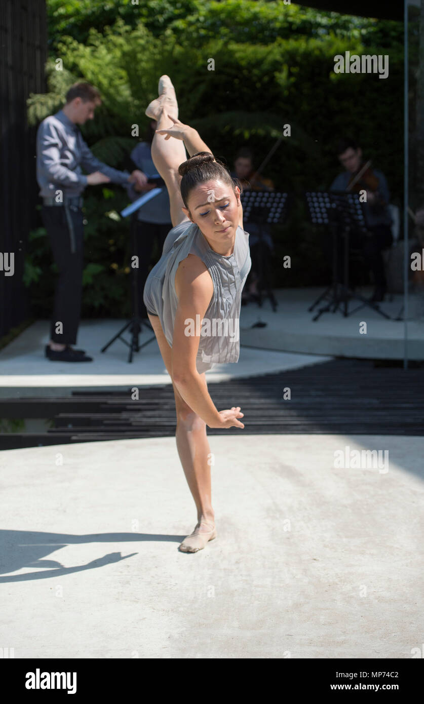 Royal Hospital Chelsea, Londra, Regno Unito. 21 Maggio, 2018. Premere il tasto giorno per la RHS Chelsea Flower Show 2018. Foto: Constella Opera balletto eseguire un pezzo unico entro il VTB Capital spirito di Cornovaglia giardino, progettato da Stuart Charles Towner e ispirato il lavoro dello scultore Barbara Hepworth con la musica del compositore Leo Geyer. Credito: Malcolm Park/Alamy Live News. Foto Stock