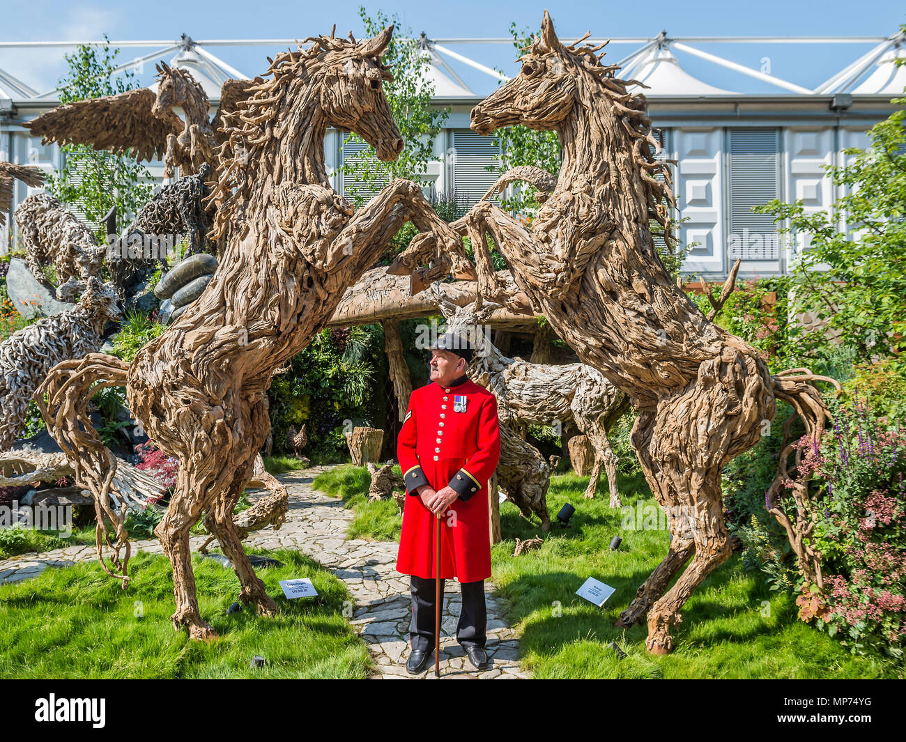 Londra, Regno Unito. 21 maggio 2018. Un pensionato di Chelsea ammira driftwood sculture da James Doran-Webb - Premere Giorno della RHS Chelsea Flower Show presso il Royal Hospital Chelsea. Credito: Guy Bell/Alamy Live News Foto Stock