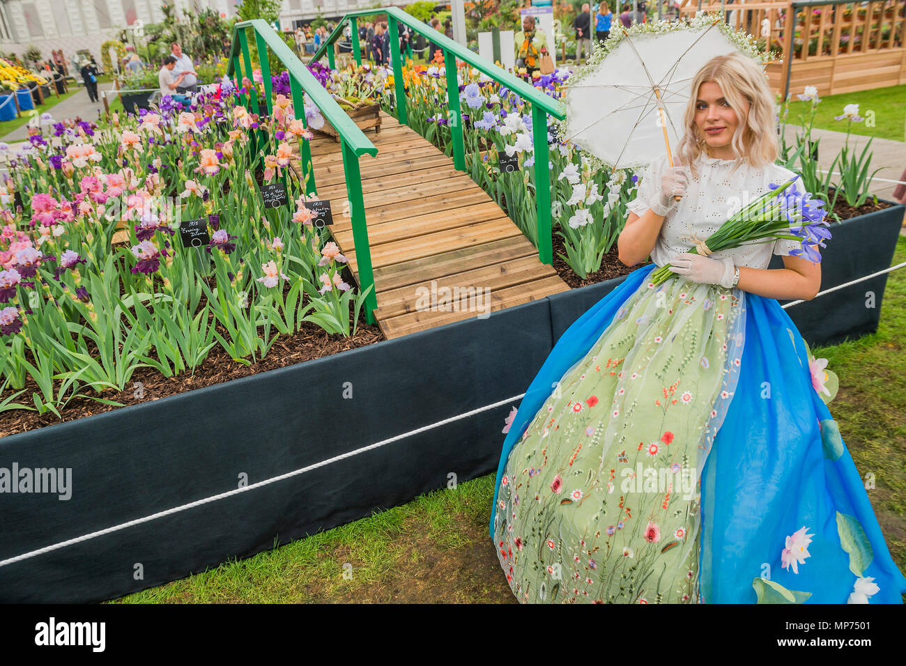 Londra, Regno Unito. 21 maggio 2018. Aquilegia alpina, indossando un abito periodo ispirato da famose opere di Monet, con le iridi fornito da Jean-Baptiste Cayeux, a Claude Monet. -Premere il giorno della RHS Chelsea Flower Show presso il Royal Hospital Chelsea. Credito: Guy Bell/Alamy Live News Foto Stock