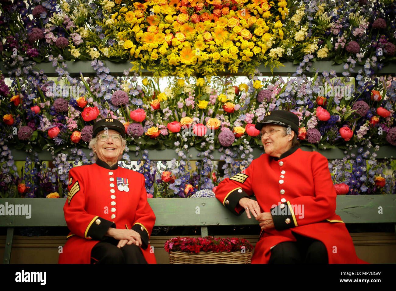 Londra, Gran Bretagna. 21 Maggio, 2018. Chelsea pensionati godono di una visualizzazione floreale al RHS Chelsea Flower Show tenutosi nel parco del Royal Hospital Chelsea a Londra, Gran Bretagna, il 21 maggio 2018. Il Chelsea Flower Show, altrimenti noto come il grande spettacolo primaverile e detenute dalla Royal Horticultural Society (RHS), è il più grande fiore e giardino paesaggistico mostra nel Regno Unito. Credito: Tim Irlanda/Xinhua/Alamy Live News Foto Stock