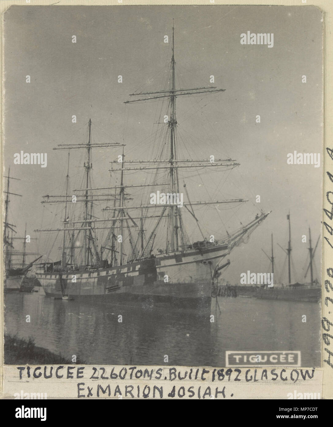 Capturefile: D:Job filesBrodiebs004298.tif CaptureSN: CQ010601.015992 Software: Capture One PRO per Windows . Inglese: Tigucee Tijuca ex Marion Giosia H33 220 4404A 7067987 . 1 gennaio 2018. Unknown 1193 Tijuca ex Marion Giosia H33 220 4404A 7067987 Foto Stock