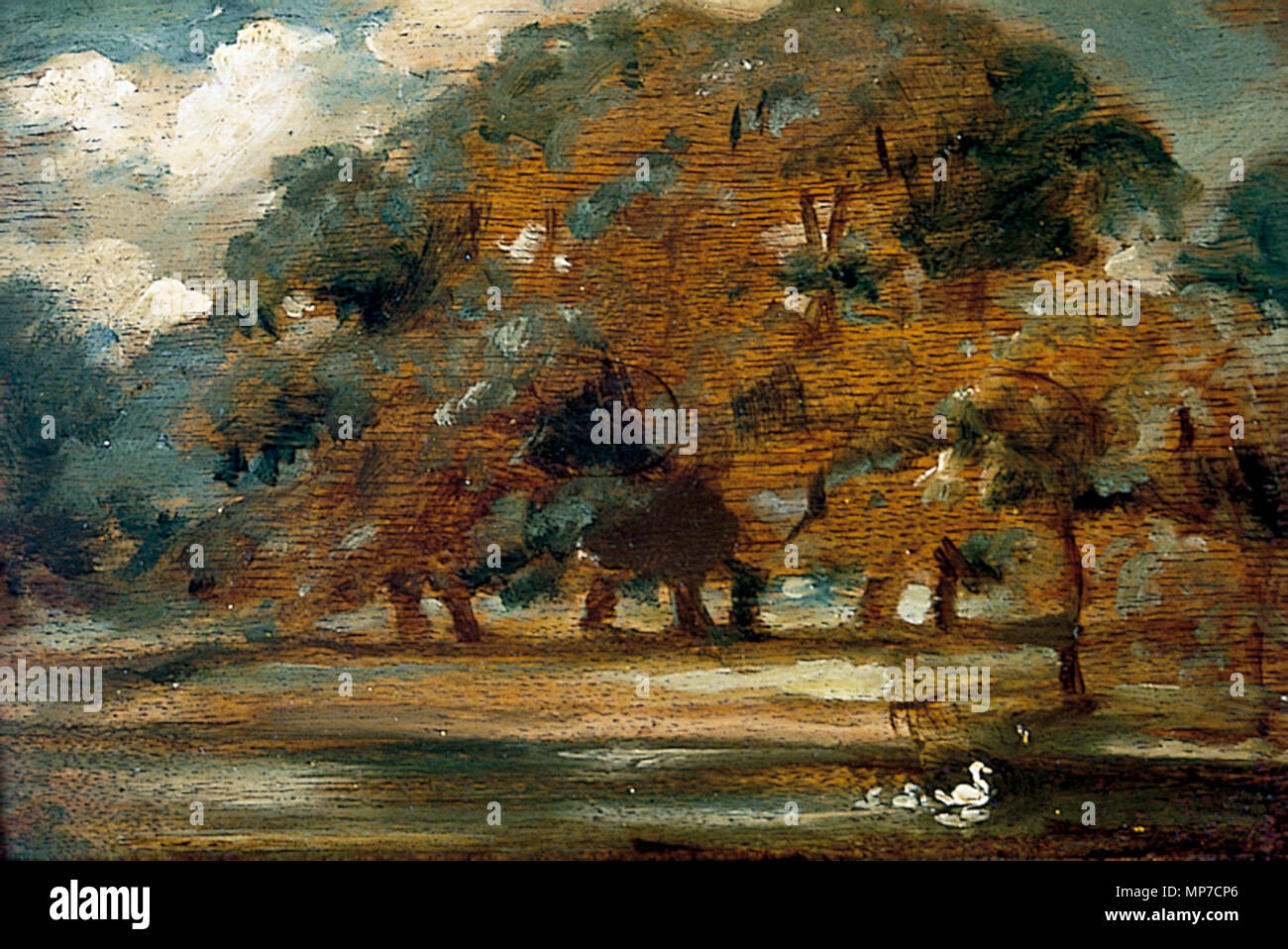 Le peschiere, Givendale . Inglese: Stagni in primo piano con alcune anatre centro destra; gli alberi al di là. . Tra 1843 e 1853. 1173 i laghetti, Givendale YORAG-79 Foto Stock