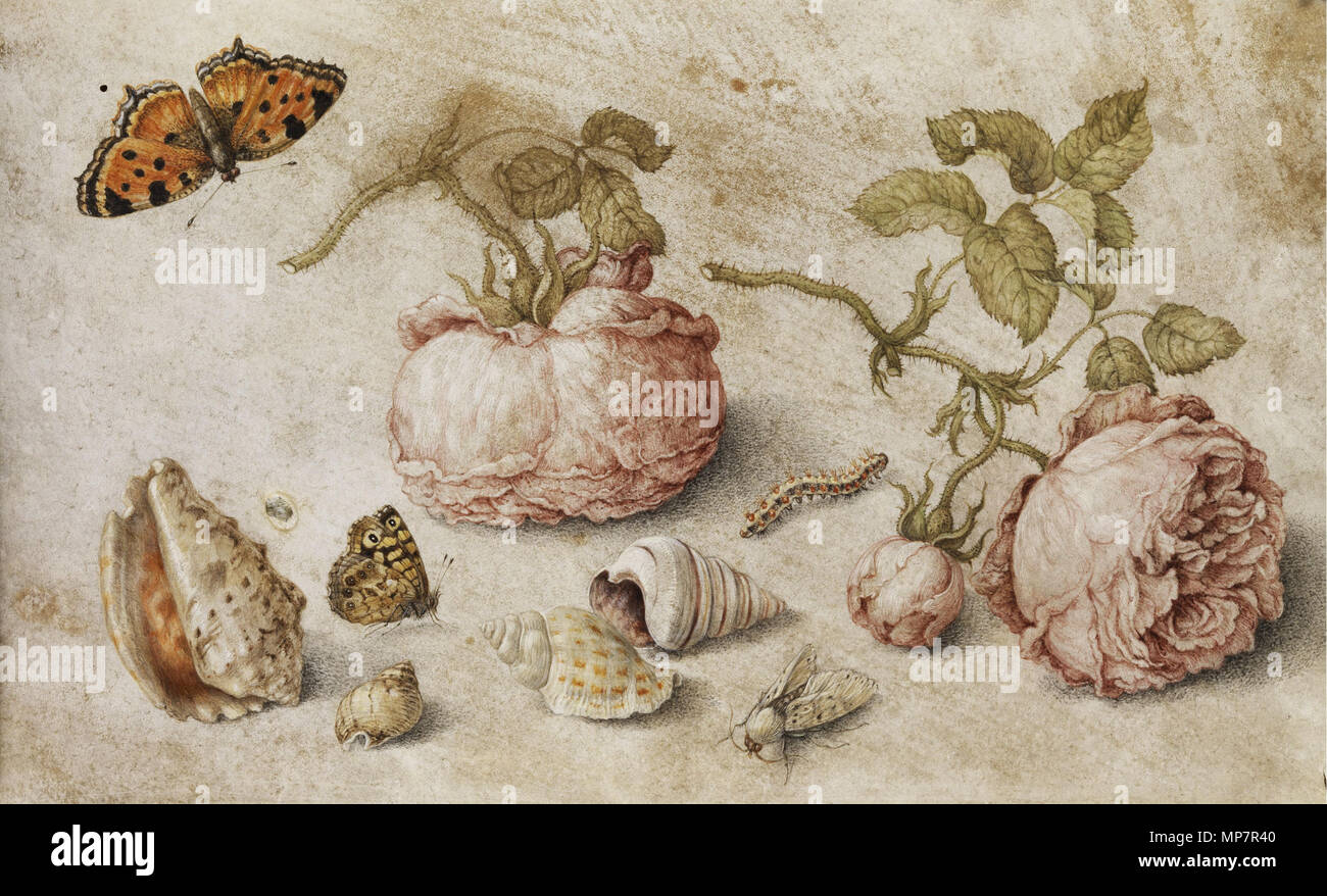 Trompe l'oeil ancora vita del xvii secolo. 704 Jan van Kessel de Oude - Trompe l'oeil Foto Stock