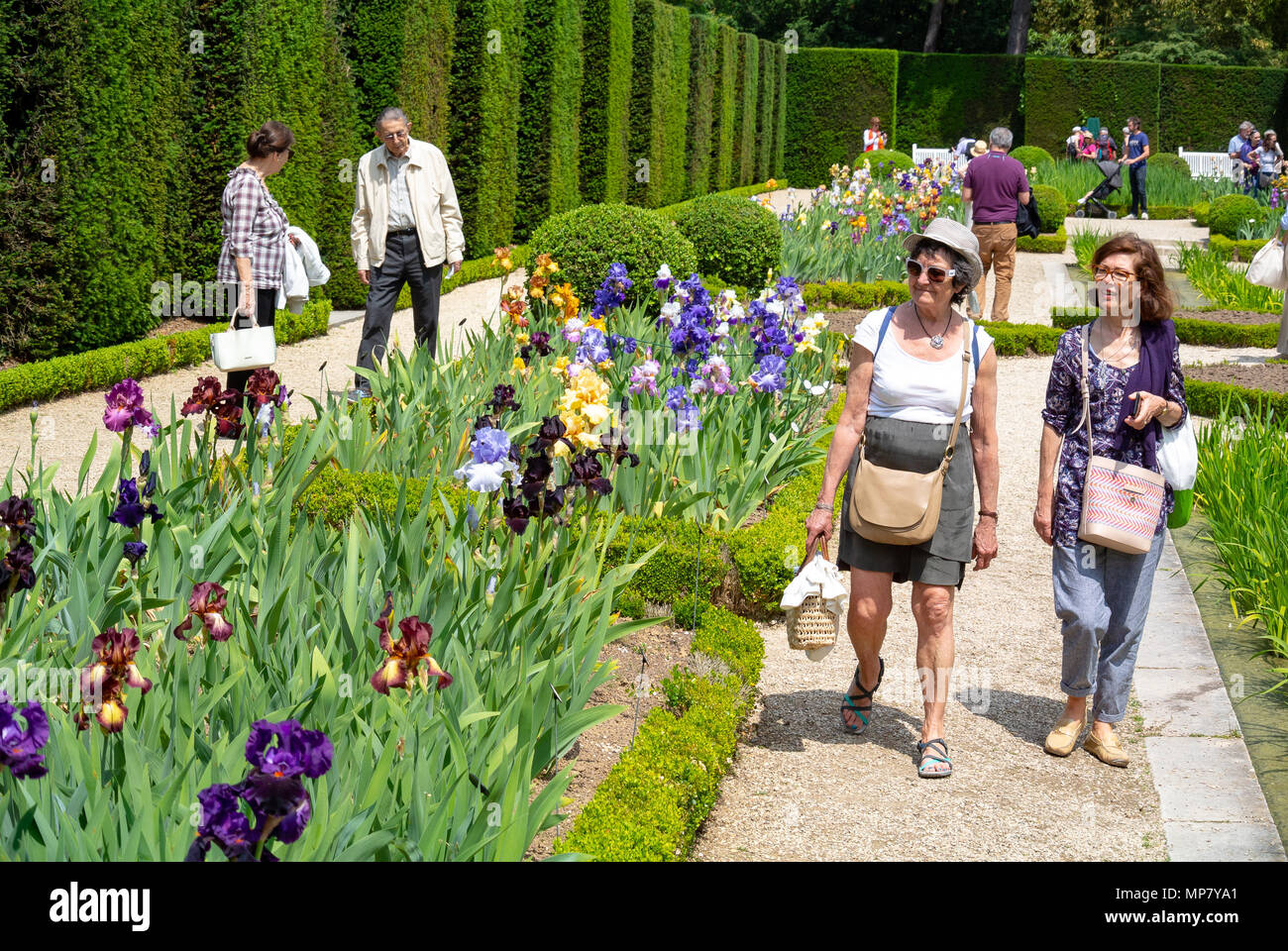 Caucasian i turisti in visita a iris giardino, parco Bagatelle, Parigi, Francia Foto Stock