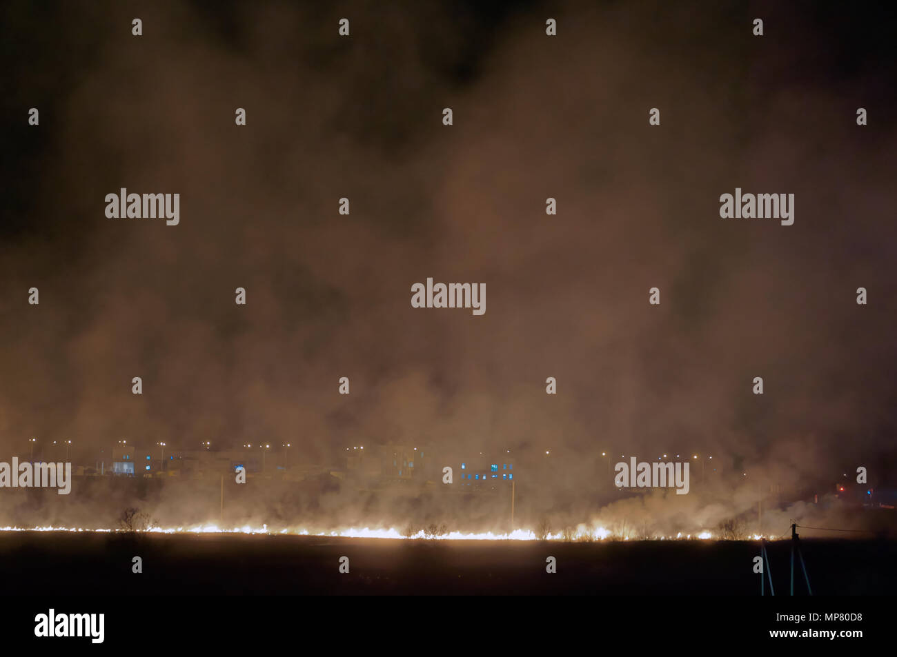 Il fumo dal campo di masterizzazione, il fuoco nel campo di notte, bruciando erba sul campo Foto Stock