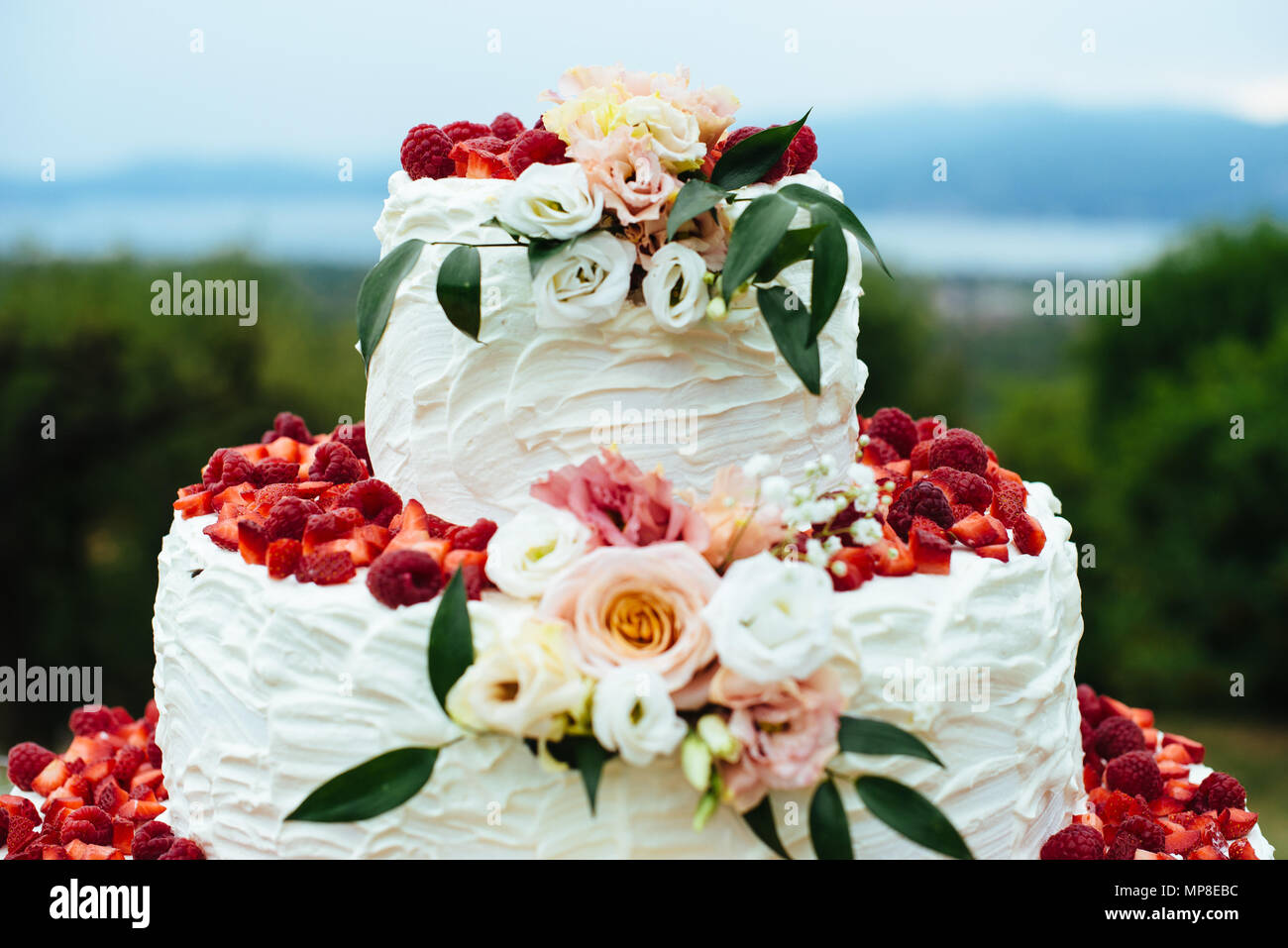 Panna e fragole torta di nozze all\u0027aperto nel giardino ornato di fiori e petali di rosa