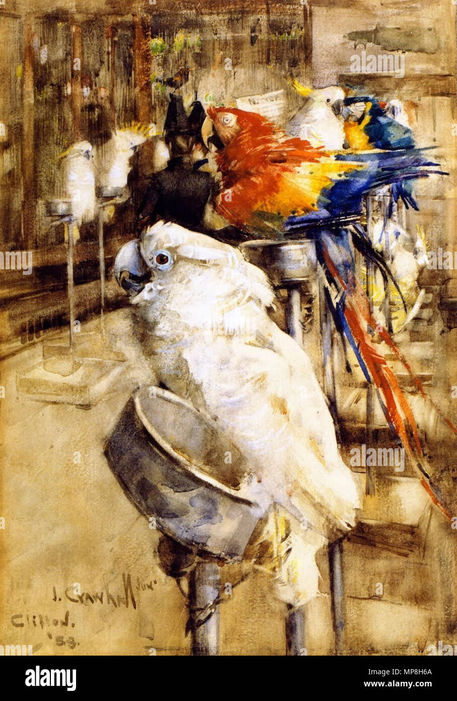 . La Voliera Clifton . 1888. Joseph Crawhall III (1861-1913) nomi alternativi Joseph Crawhall; Giuseppe Crowhall; Joseph E. Crawhall Descrizione British pittore quadri di animali e uccelli Glasgow Boys. Data di nascita e morte 20 Agosto 1861 24 Maggio 1913 Luogo di nascita e morte Morpeth London Authority control : Q1706796 VIAF: 7668149919449906650009 ISNI: 0000 0000 6675 0286 ULAN: 500004212 LCCN: nr90018973 GND: 119096072 WorldCat 741 Joseph Crawhall, 1888 - La voliera, Clifton Foto Stock . La Voliera Clifton . 1888. Joseph Crawhall III (1861-1913) nomi alternativi Joseph Crawhall; Giuseppe Crowhall; Joseph E. Crawhall Descrizione British pittore quadri di animali e uccelli Glasgow Boys. Data di nascita e morte 20 Agosto 1861 24 Maggio 1913 Luogo di nascita e morte Morpeth London Authority control : Q1706796 VIAF: 7668149919449906650009 ISNI: 0000 0000 6675 0286 ULAN: 500004212 LCCN: nr90018973 GND: 119096072 WorldCat 741 Joseph Crawhall, 1888 - La voliera, Clifton Foto Stock