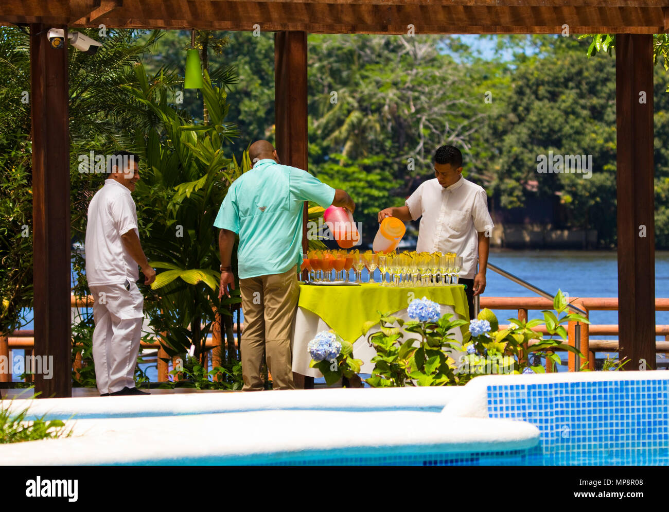 Bevande tropicali - benvenuti Foto Stock