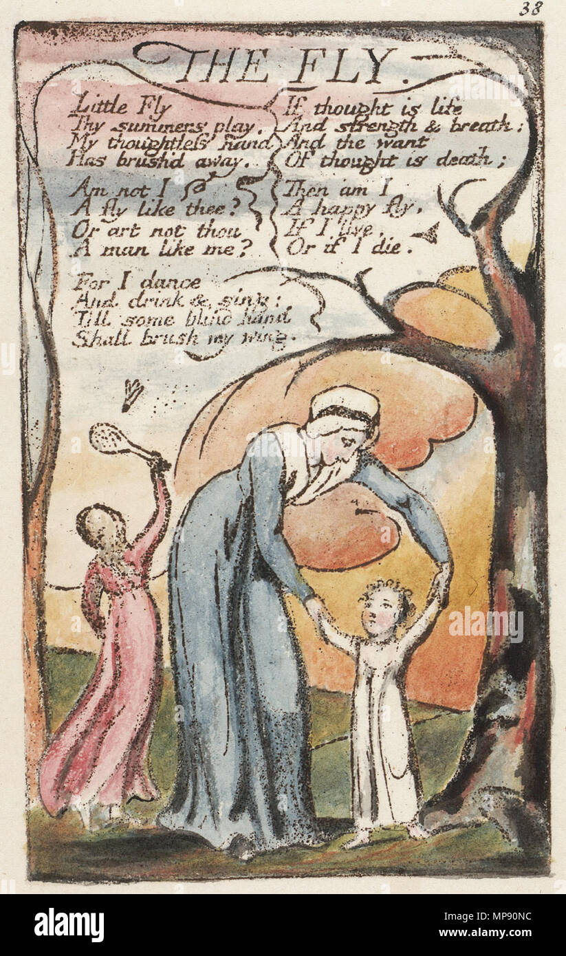 . Inglese: canti di innocenza e di esperienza copia N oggetto 9 la mosca . 1795. William Blake (1757-1827) nomi alternativi W. Blake; Uil'iam Bleik Descrizione British pittore, poeta, scrittore, teologo, collezionista e incisore, Data di nascita e morte 28 novembre 1757 12 agosto 1827 Luogo di nascita e morte Broadwick Street Charing Cross sede di lavoro London Authority control : Q41513 VIAF: 54144439 ISNI: 0000 0001 2096 135X ULAN: 500012489 LCCN: N78095331 NLA: 35019221 WorldCat questa è una fedele riproduzione fotografica di un bidimensionale, il dominio pubblico opera d'arte. Il lavoro Foto Stock