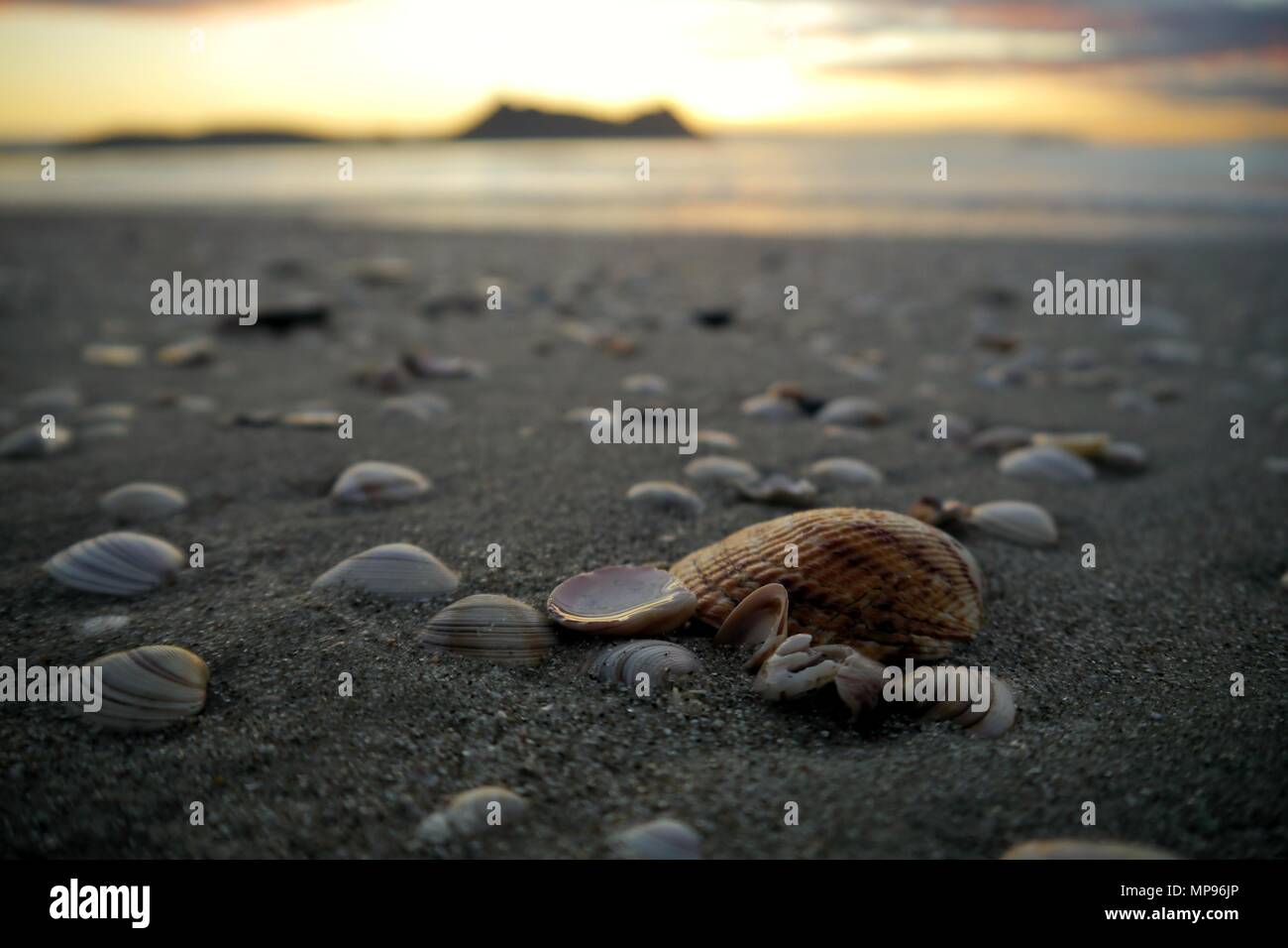 La più piccola delle cose contribuisce alla bellezza del nostro ambiente Foto Stock
