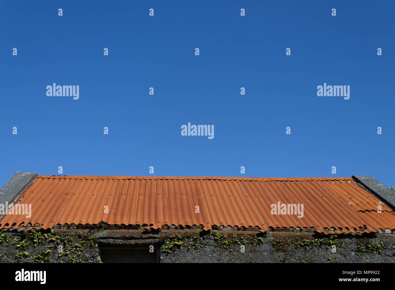 Rusty ondulato tetto stagno su un fienile insieme contro un cielo blu chiaro. Foto Stock