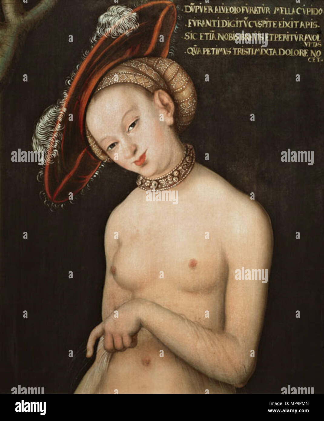 . Venere (dettaglio) da Lucas Cranach il Vecchio, Geneve, Musée d'Art et d'Histoire . Il XVI secolo. 830 Lucas Cranach il Vecchio - La Venere (dettaglio), Geneve Foto Stock