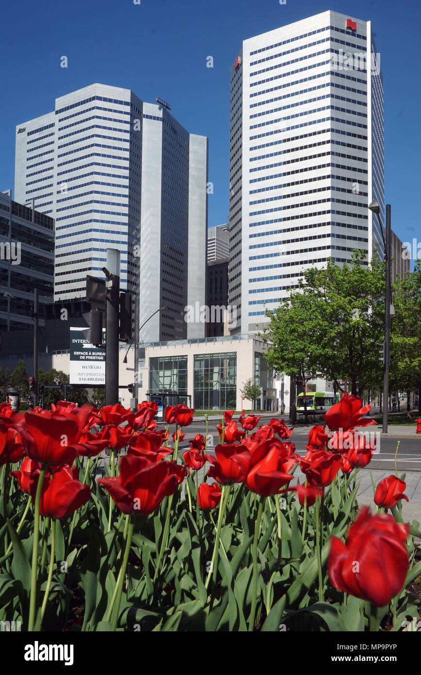 Montreal, Canada, 21 Maggio,2018.Sprintime tra ufficio e condominio le torri in Montreal Downtown core.Credit:Mario Beauregard/Alamy Live News Foto Stock
