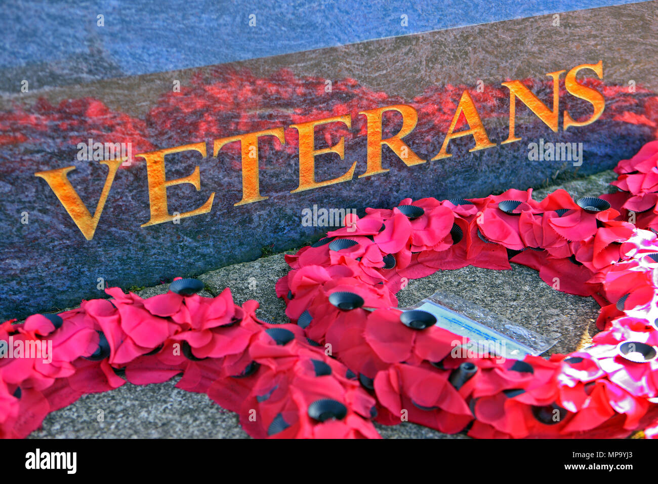 Poopy ghirlande ai piedi di un monumento commemorativo dei veterani delle forze armate, Glasgow, Scozia Foto Stock
