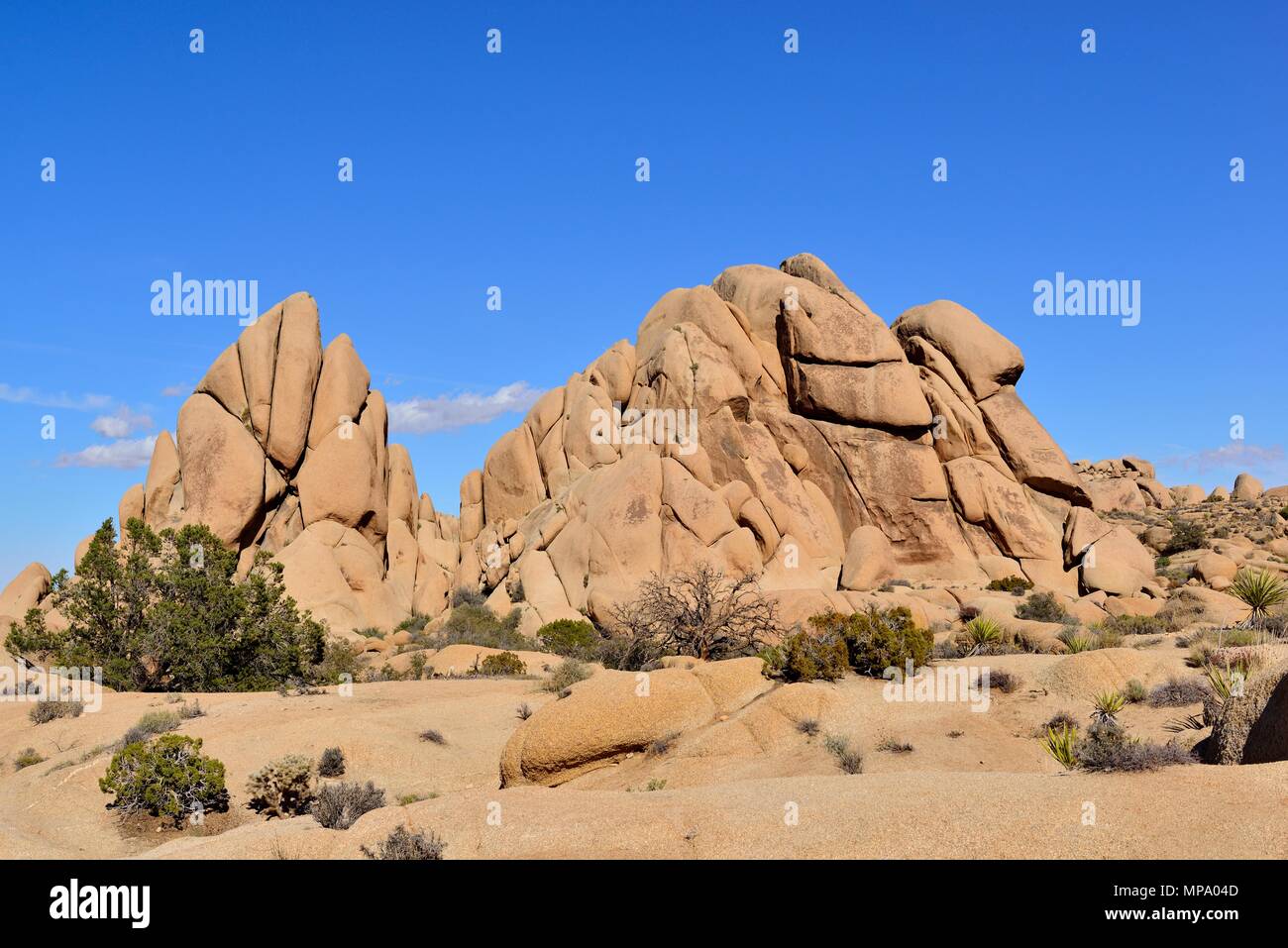 Monzogranite rock, cranio area di roccia, Jumbo Rocks campeggio, Joshua Tree National Park, CA 180315 68340 Foto Stock