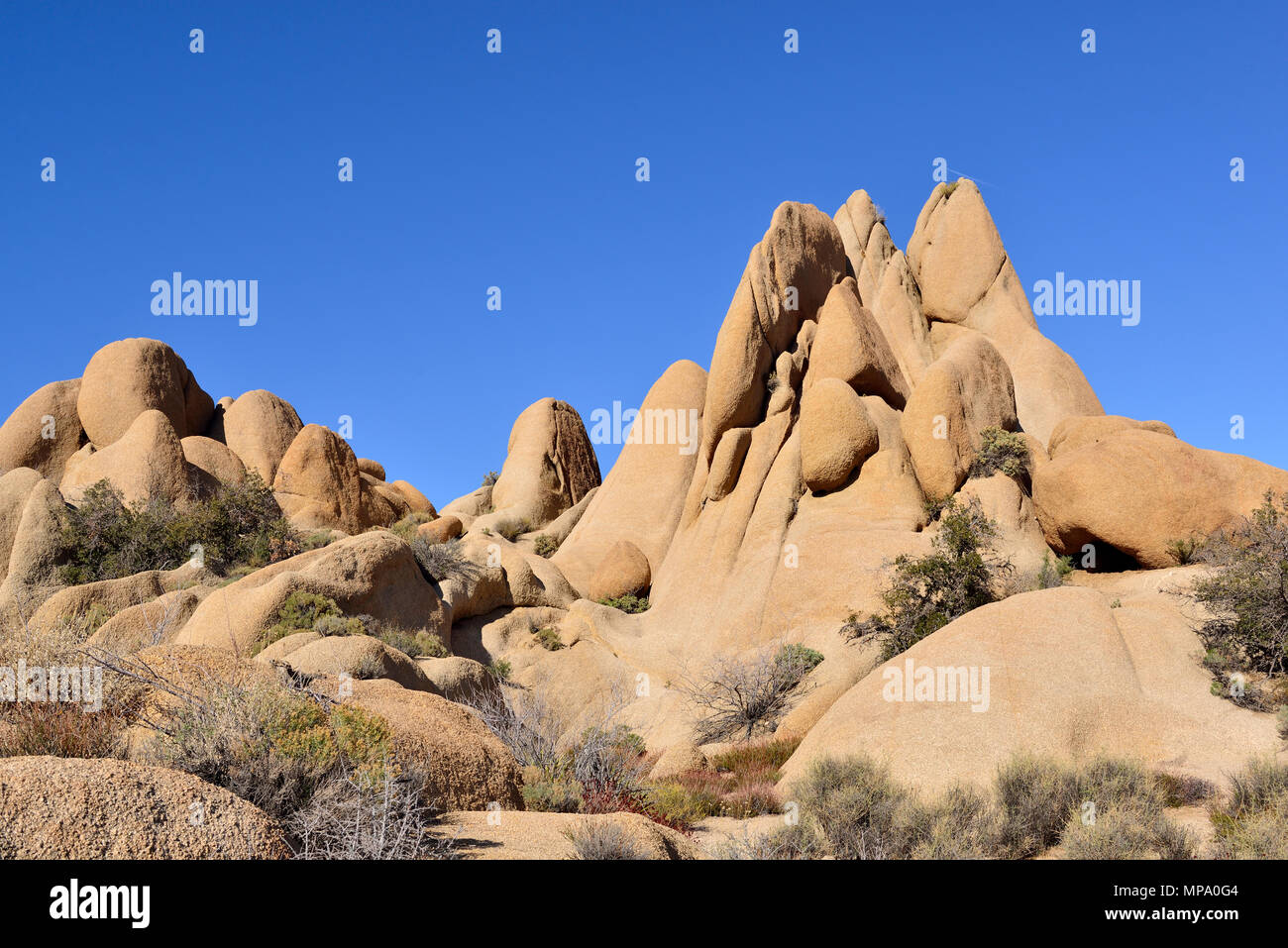 Monzogranite rock, cranio area di roccia, Jumbo Rocks campeggio, Joshua Tree National Park, CA 180315 68 Foto Stock