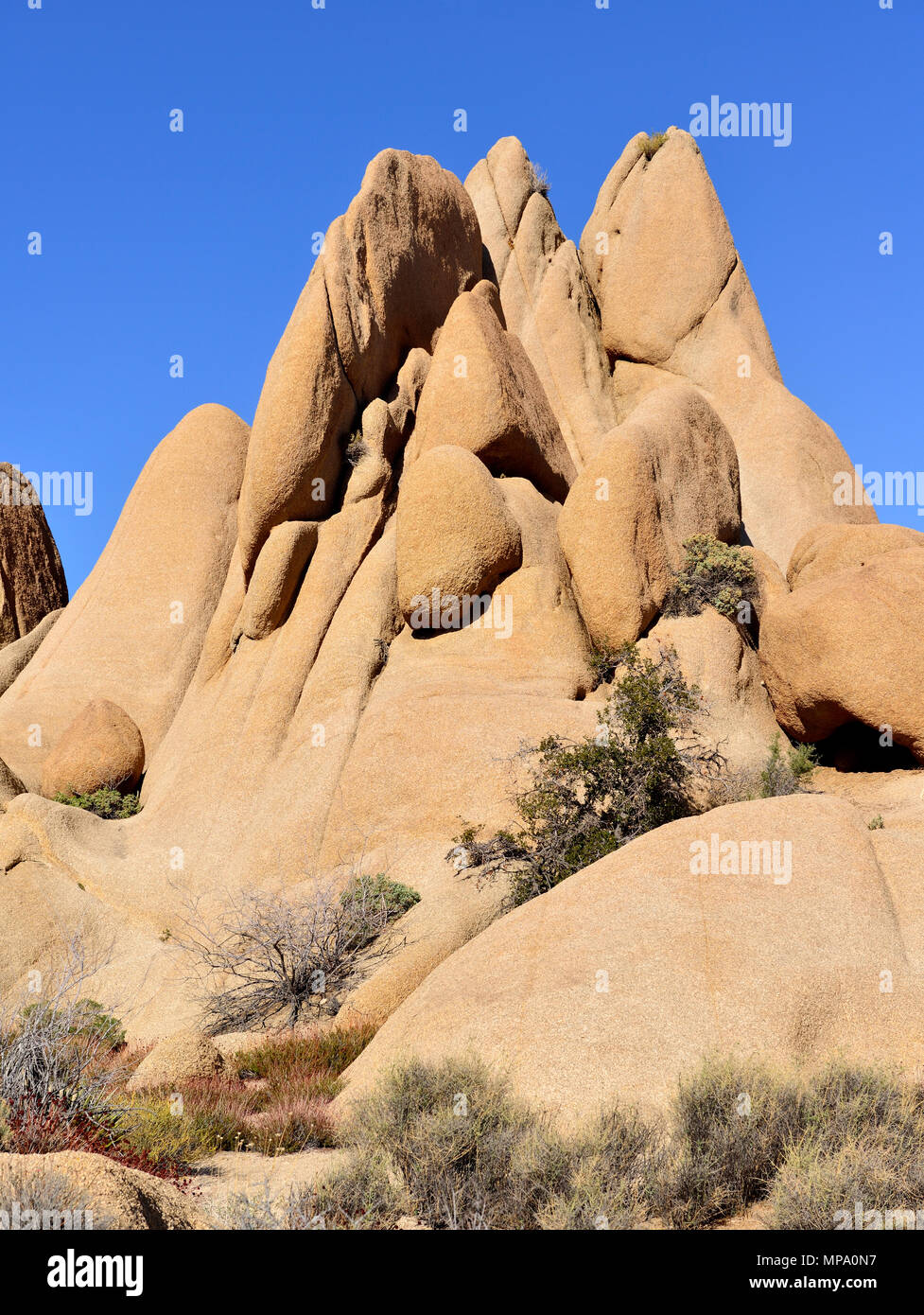 Monzogranite rock, cranio area di roccia, Jumbo Rocks campeggio, Joshua Tree National Park, CA 180315 68346 Foto Stock